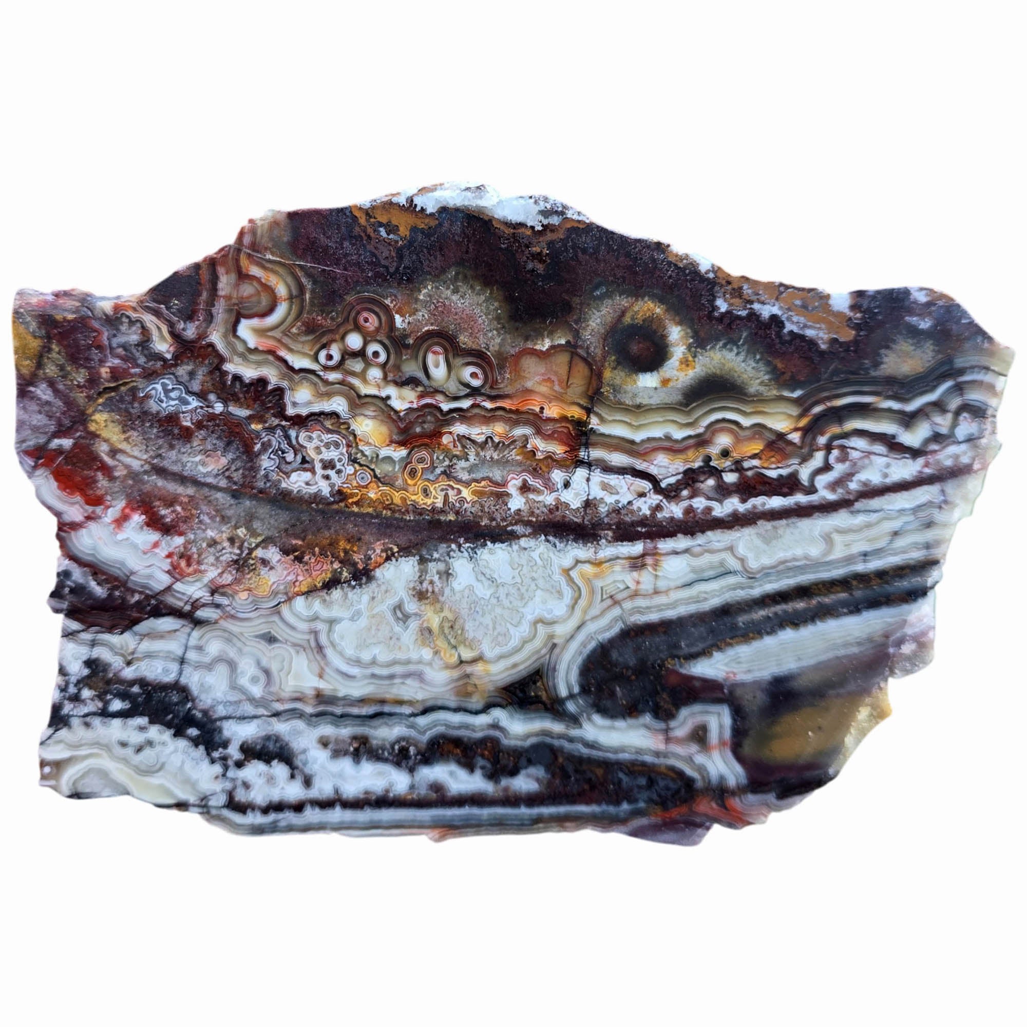 Crazy Lace Agate Slab Dry – Multicolor Tubelike Orange Red White #3807-Photo6