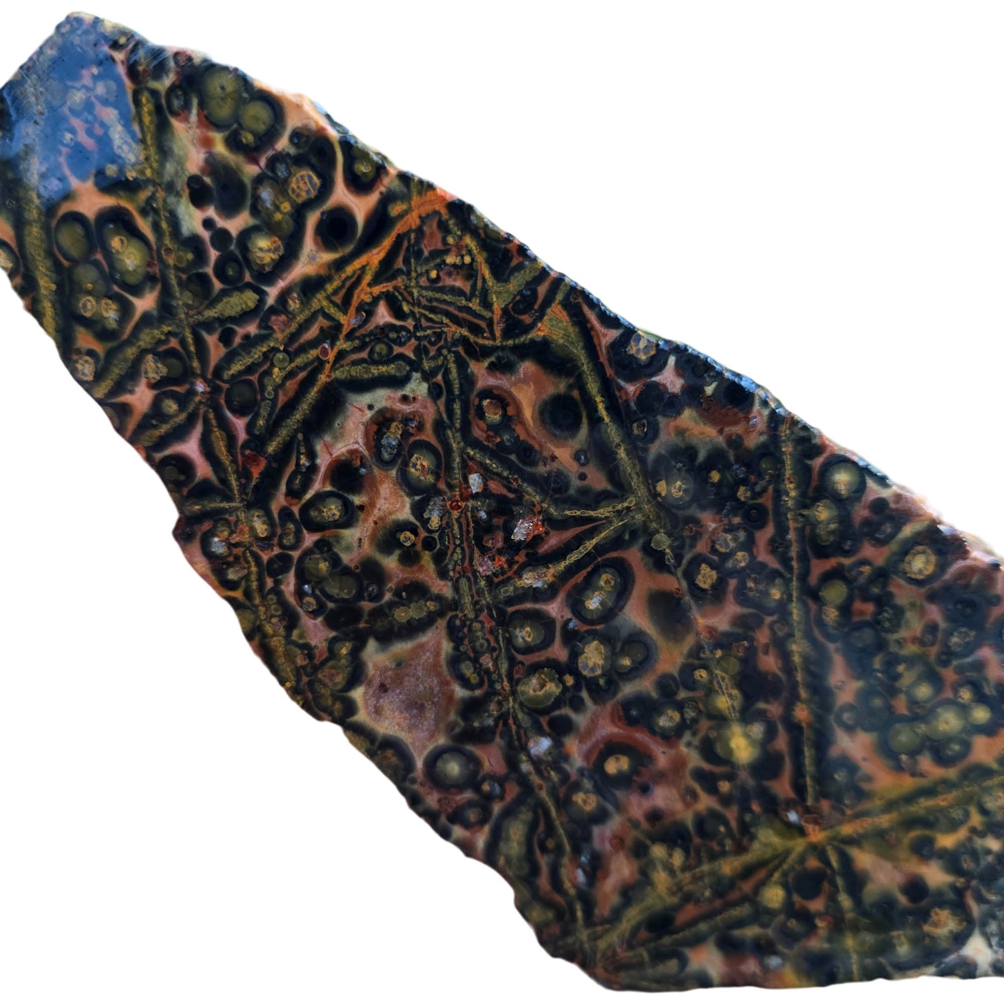 Leopardskin Rhyolite Slab - Sunset Red Spotted Pattern Mexican Vintage #3809-Photo2