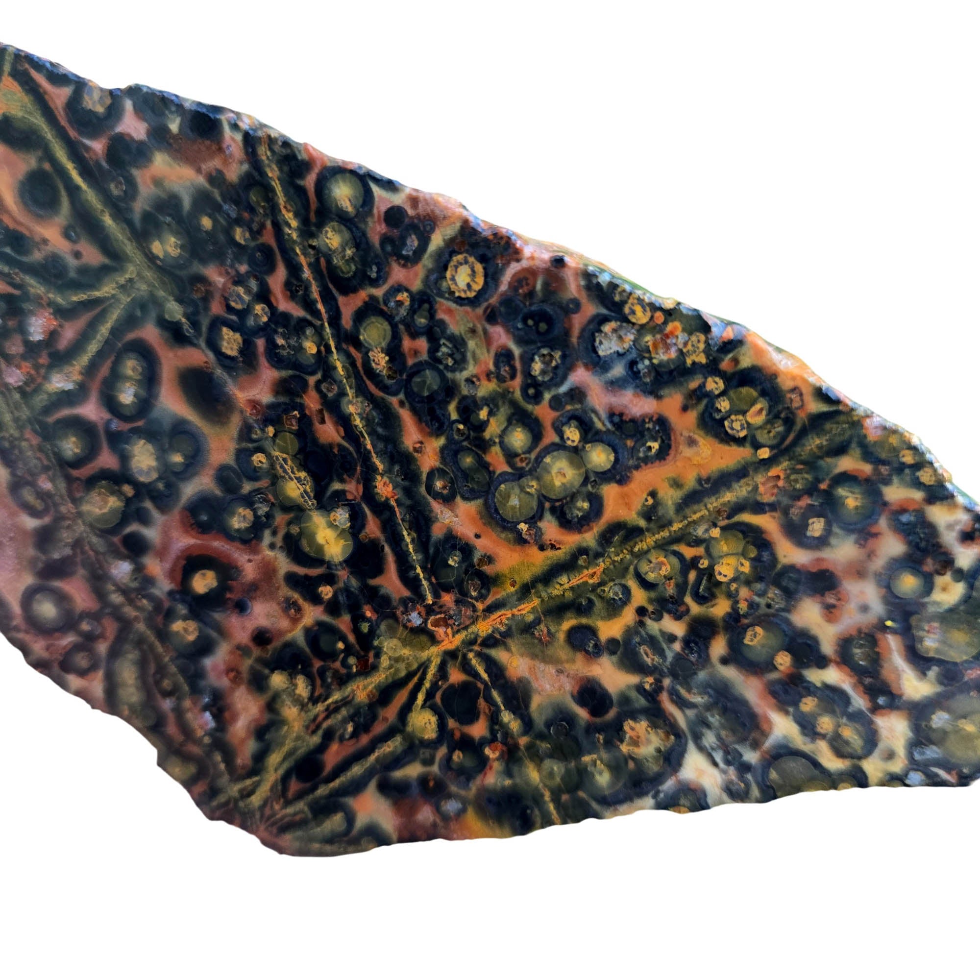 Leopardskin Rhyolite Slab - Sunset Red Spotted Pattern Mexican Vintage #3809-Photo3