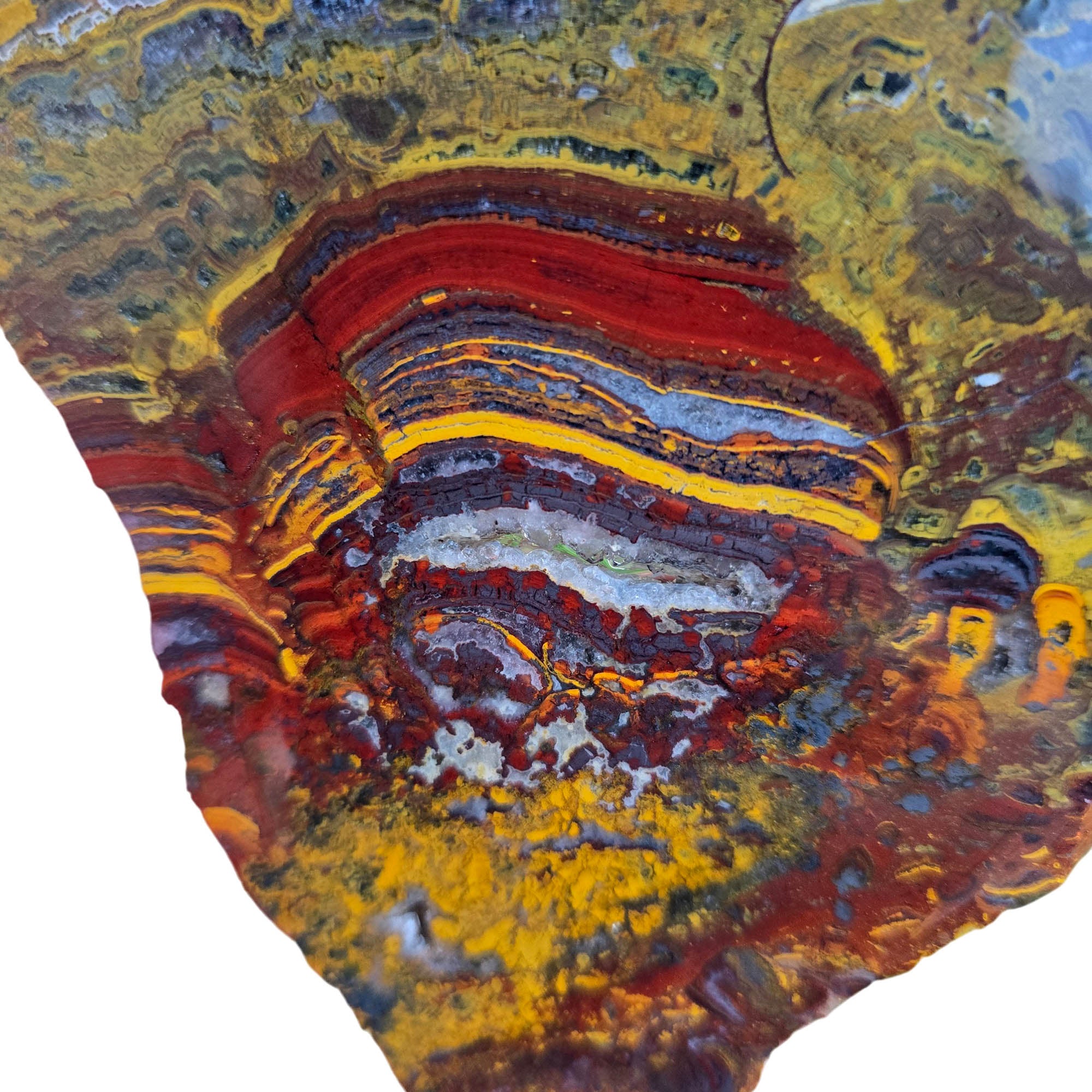 Apple Valley Jasper Slab - Hematite Flowers Stromatolite Devils Toenail #3811-Photo2