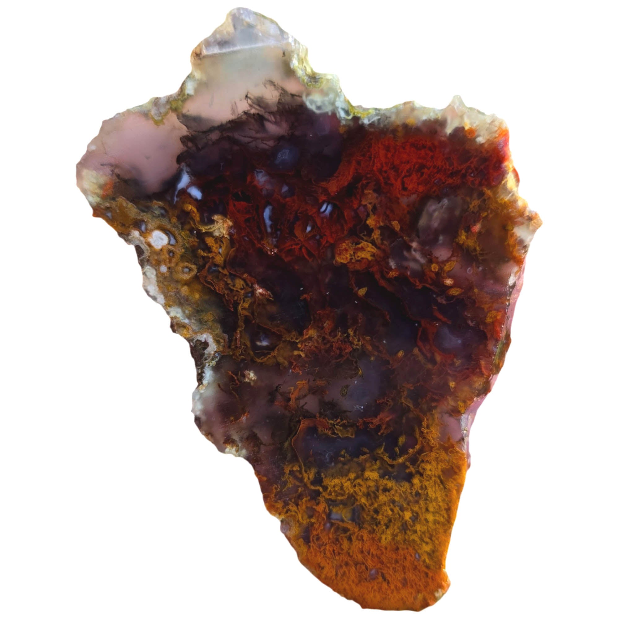 San Carlos Agate Slab - Red Orange Moss Merge Semitransparent #3812-Photo1