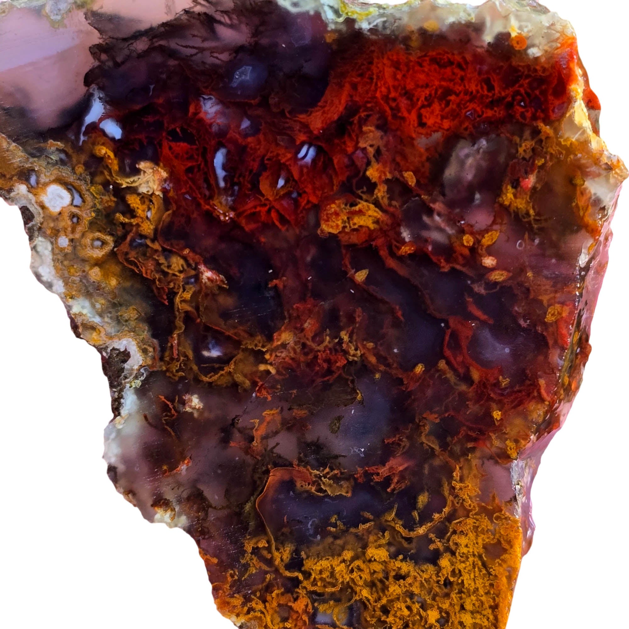 San Carlos Agate Slab - Red Orange Moss Merge Semitransparent #3812-Photo2