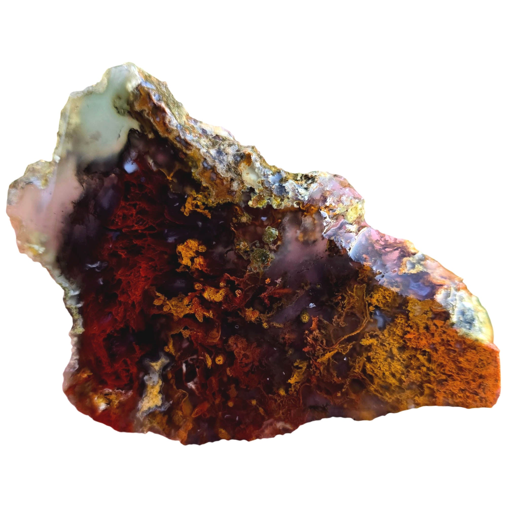 San Carlos Agate Slab - Red Orange Moss Merge Semitransparent #3812-Photo3