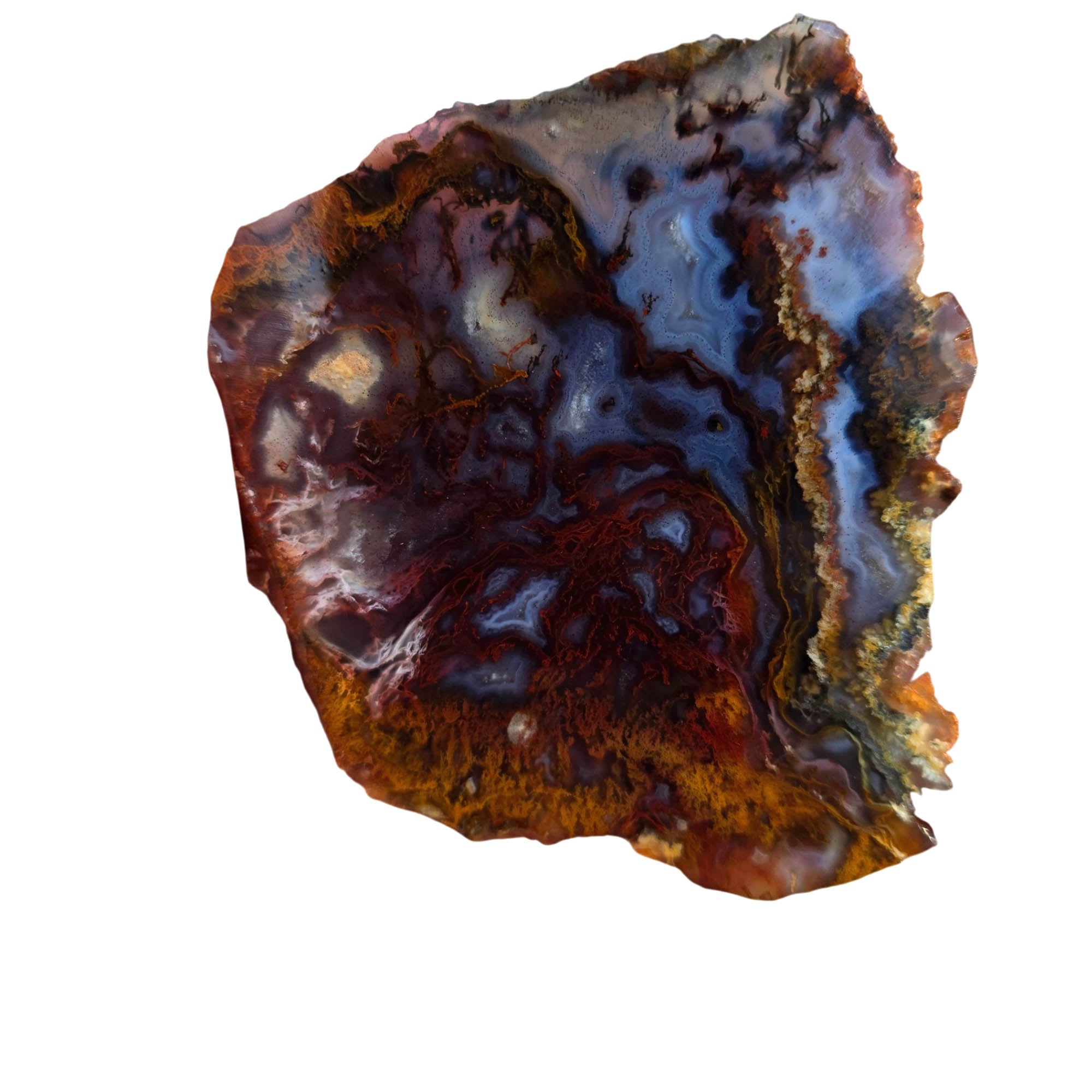 San Carlos Agate Slab – Well-Defined Moss Quartz Druzy Blue Banding #3815-Photo2