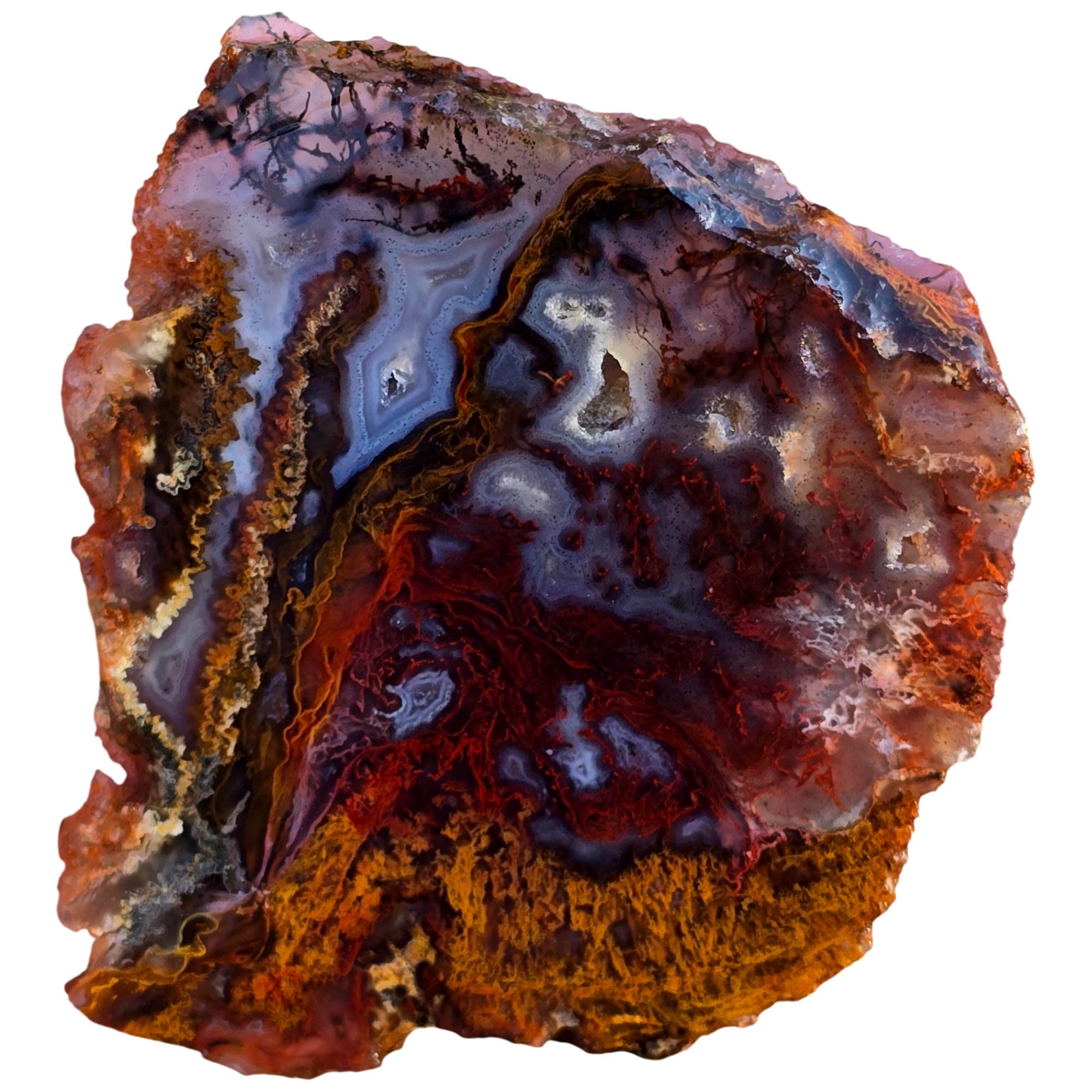 San Carlos Agate Slab – Well-Defined Moss Quartz Druzy Blue Banding #3815-Photo3