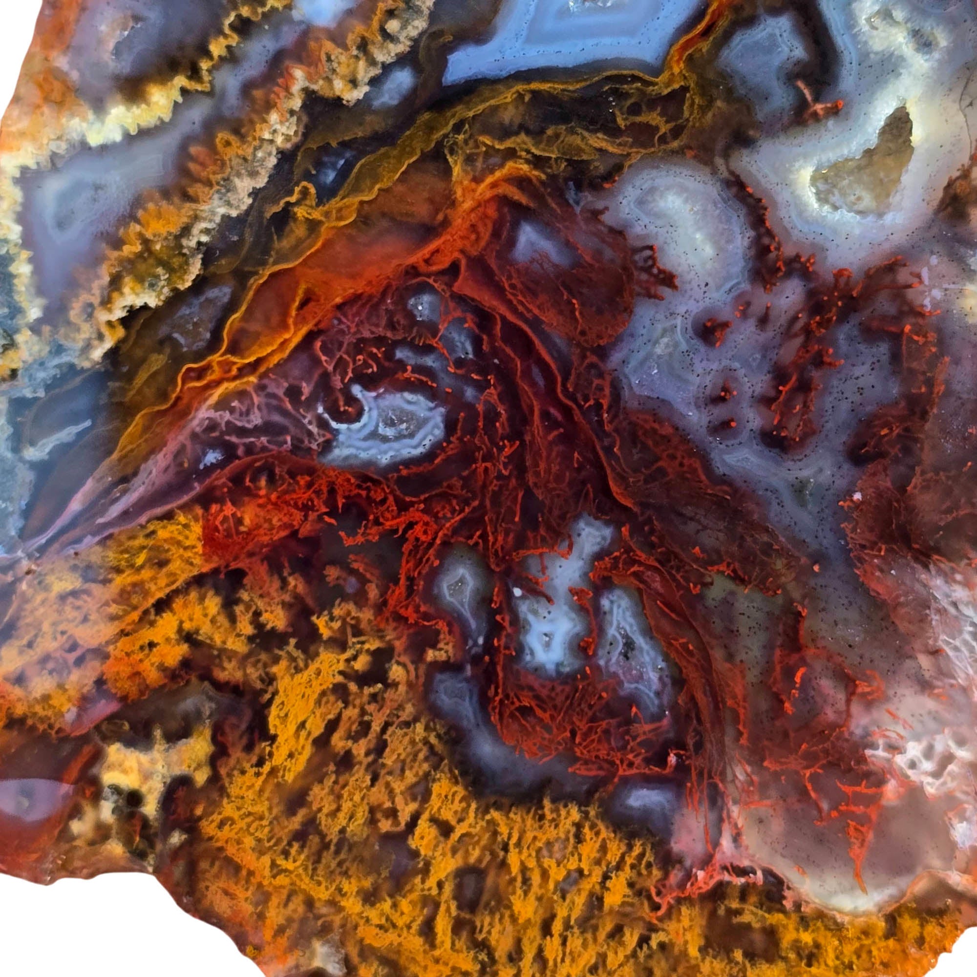 San Carlos Agate Slab – Well-Defined Moss Quartz Druzy Blue Banding #3815-Photo4