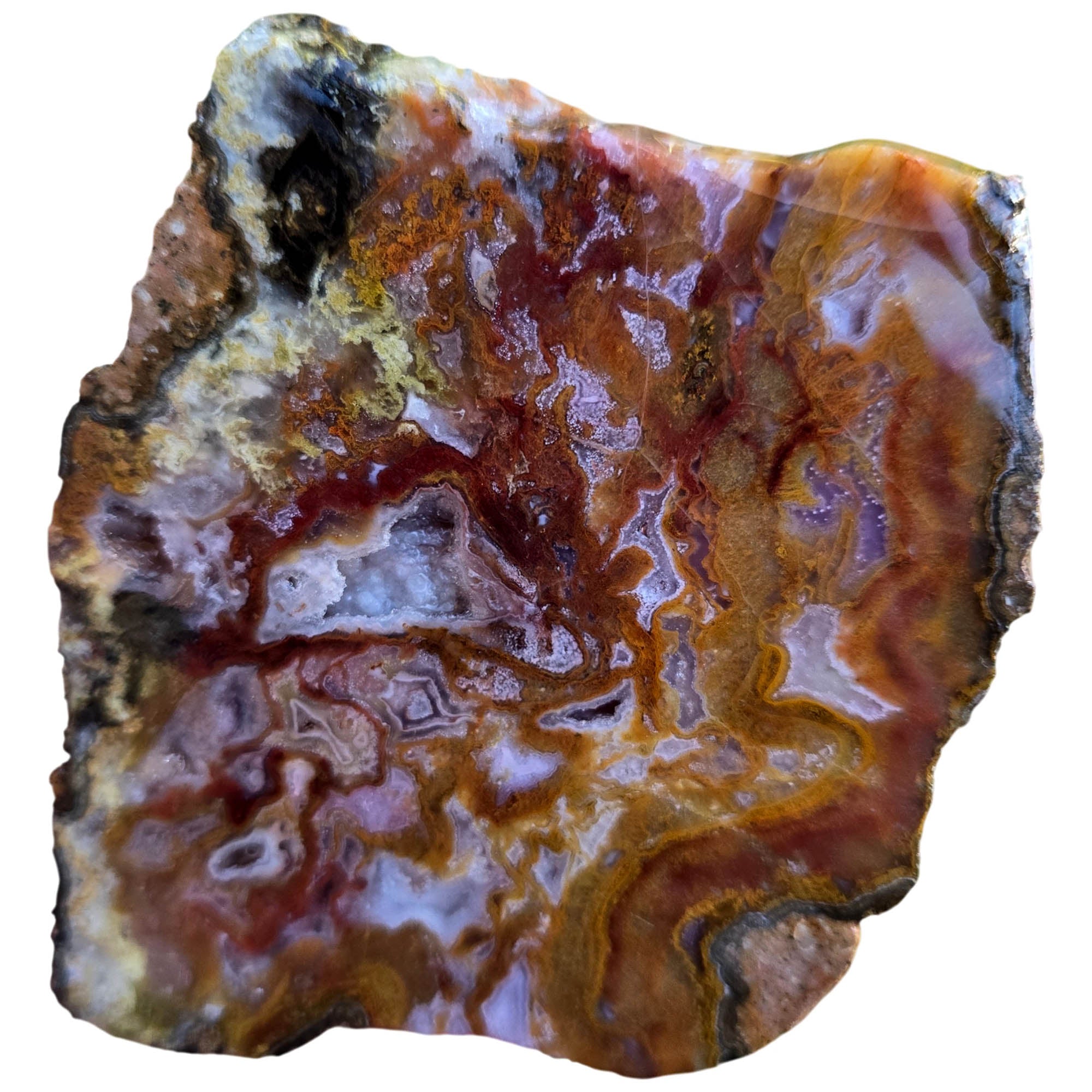 Agua Nueva Agate Slab - Static Moss Fortified Druzy Designer #3817-Photo3