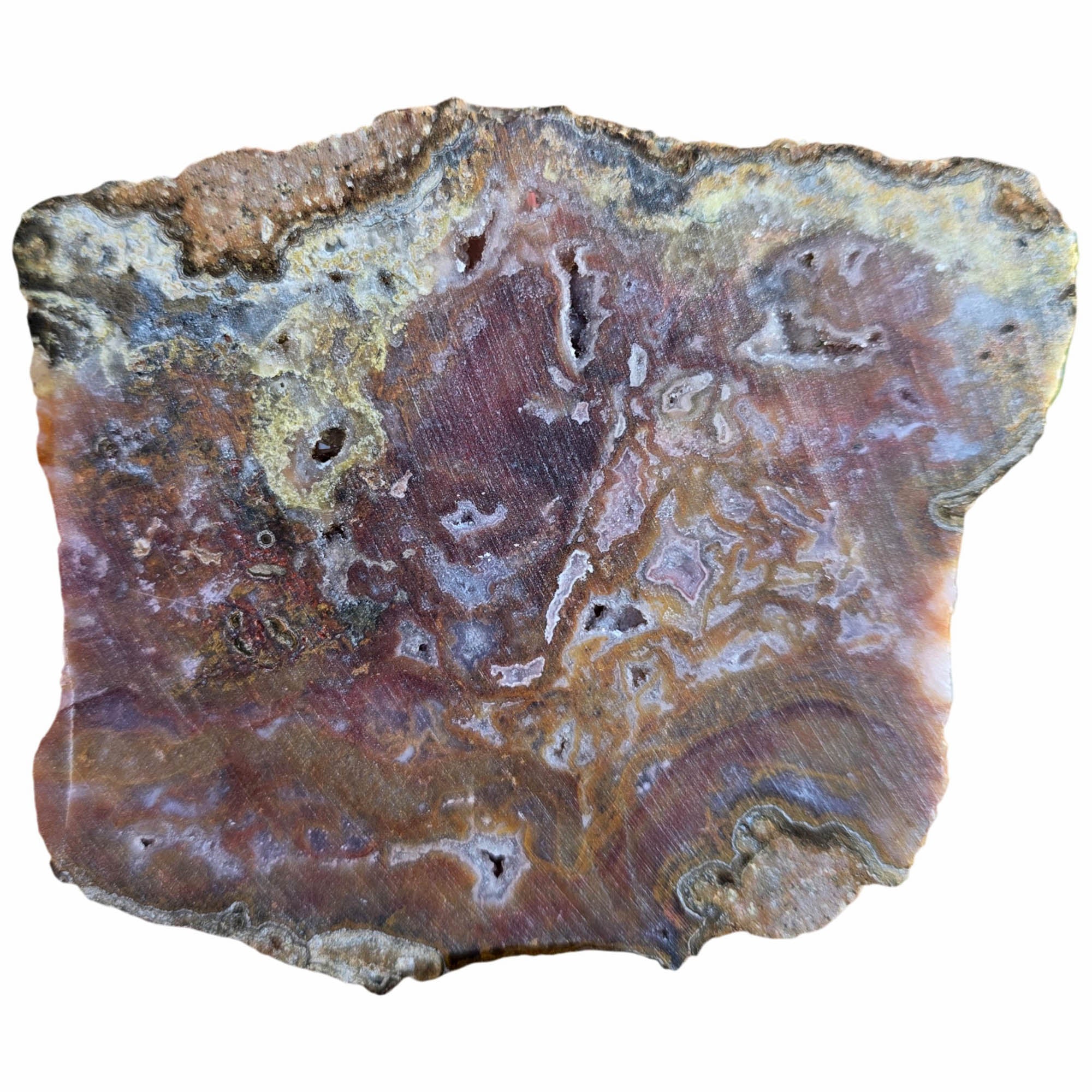 Agua Nueva Agate Slab Dry - Static Moss Fortified Druzy Designer #3817-Photo4