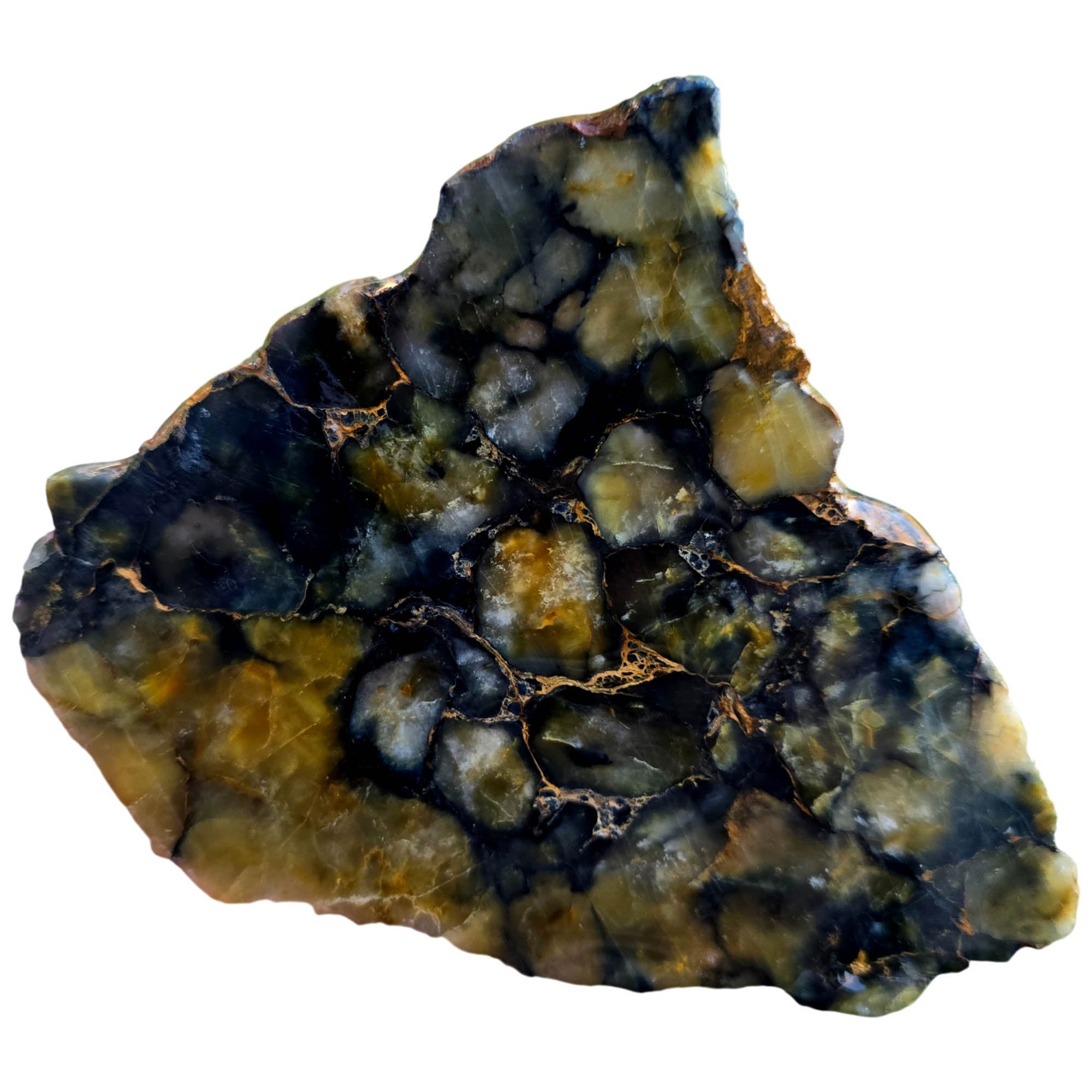 Nellite Slab – Golden Scales Blue Outline African Material #3819-Photo3