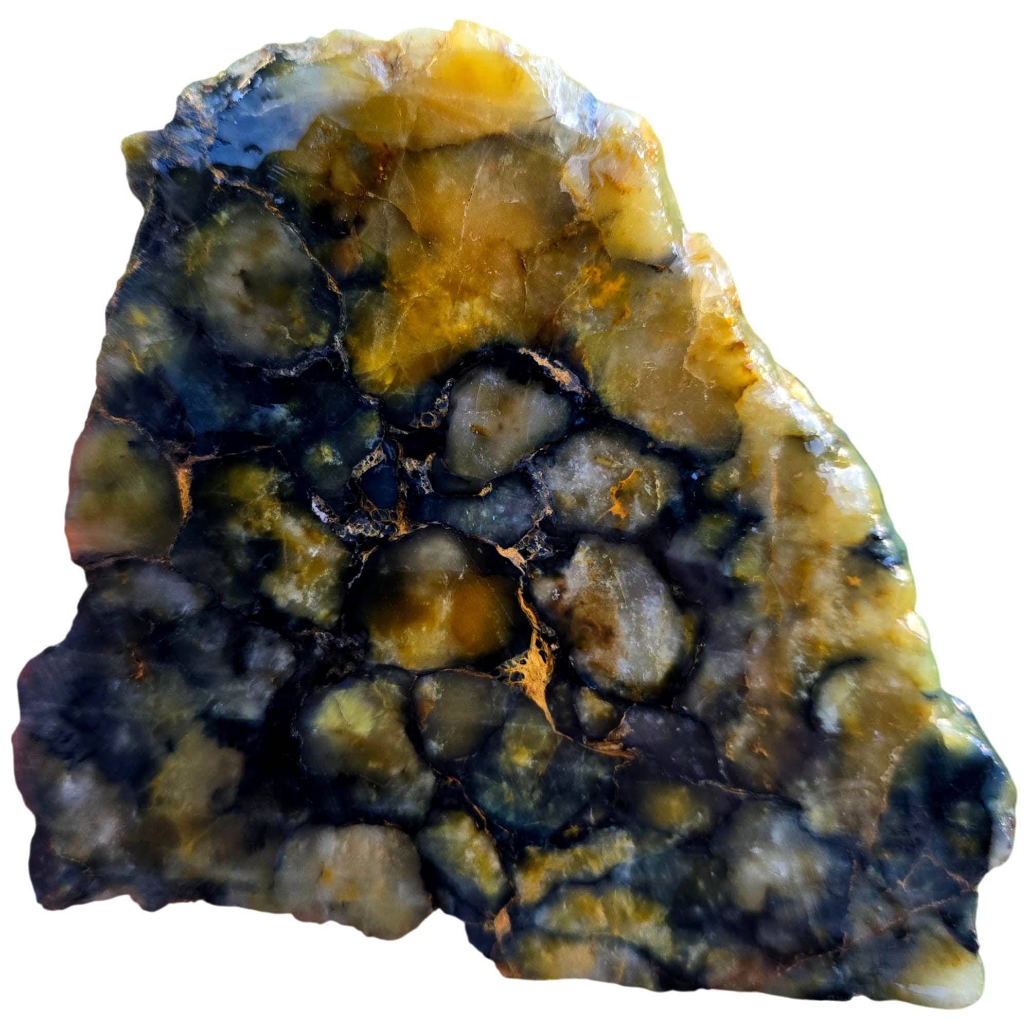 Nellite Slab – Golden Scales Blue Outline African Material #3819-Photo4