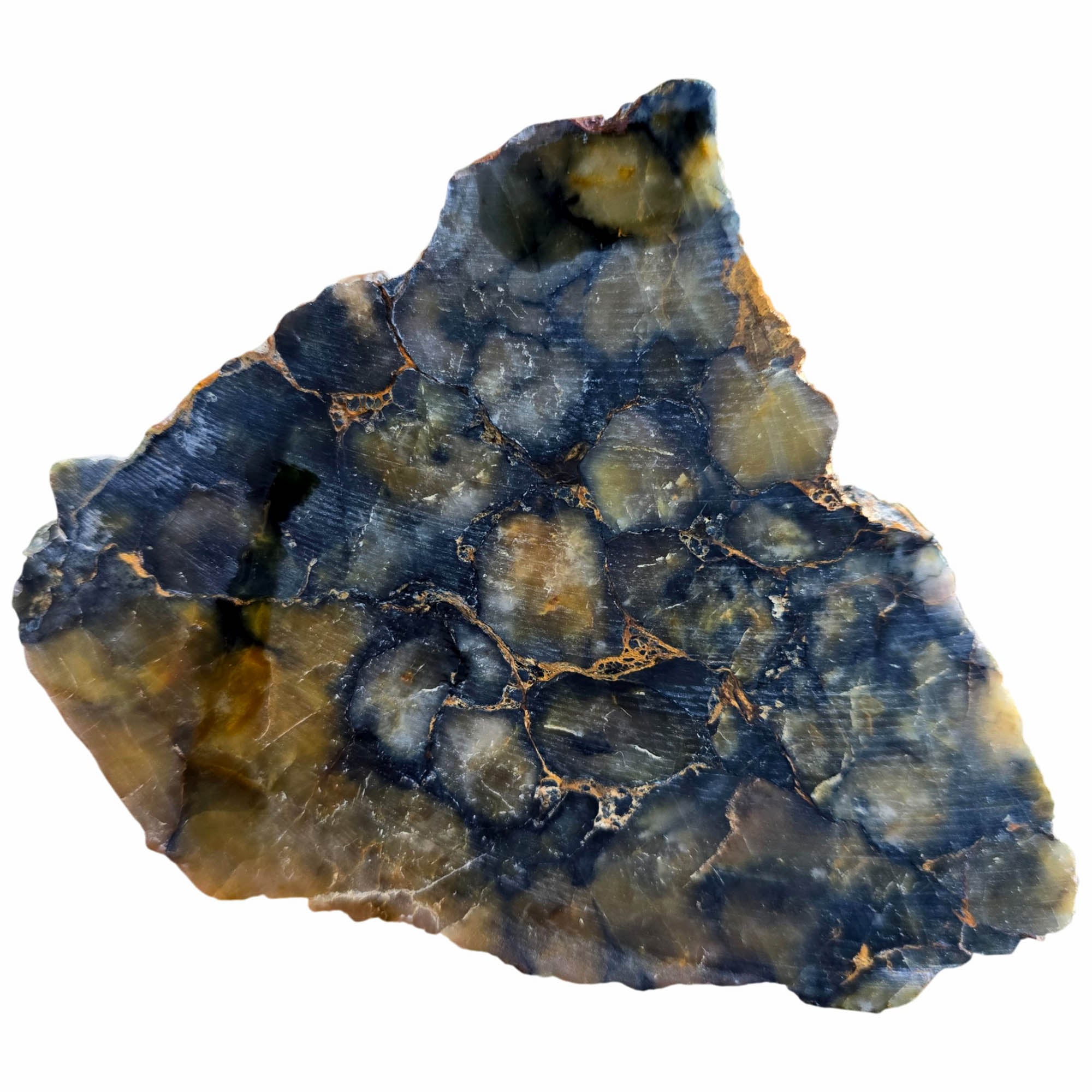 Nellite Slab Dry – Golden Scales Blue Outline African Material #3819-Photo5