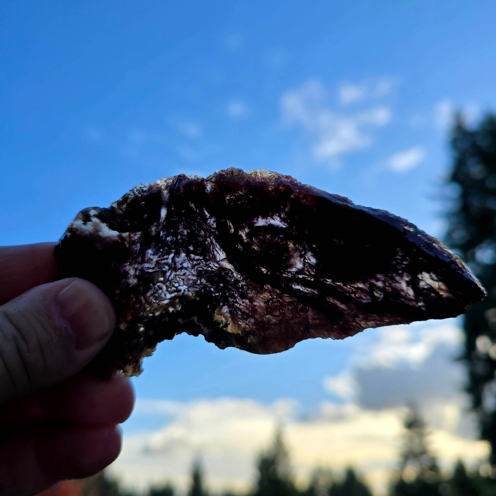 San Carlos Agate Slab – High Contrast Red Moss Flame Flow! #3821-Photo4