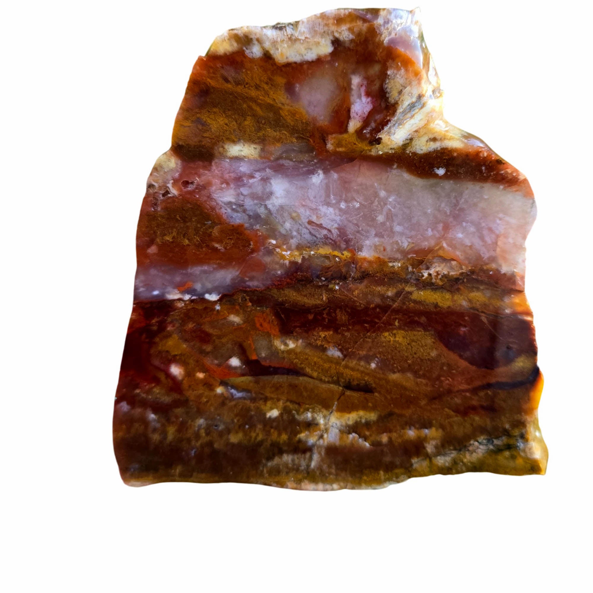 Honeycomb Agate Slab - Red Yellow Moss Blue River Oregon #3824-Photo1