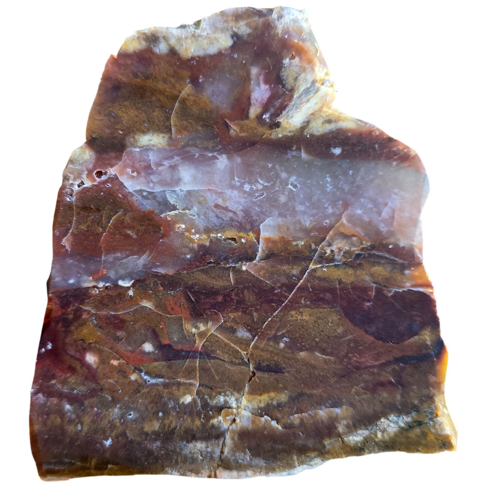 Honeycomb Agate Slab Dry - Red Yellow Moss Blue River Oregon #3824-Photo4