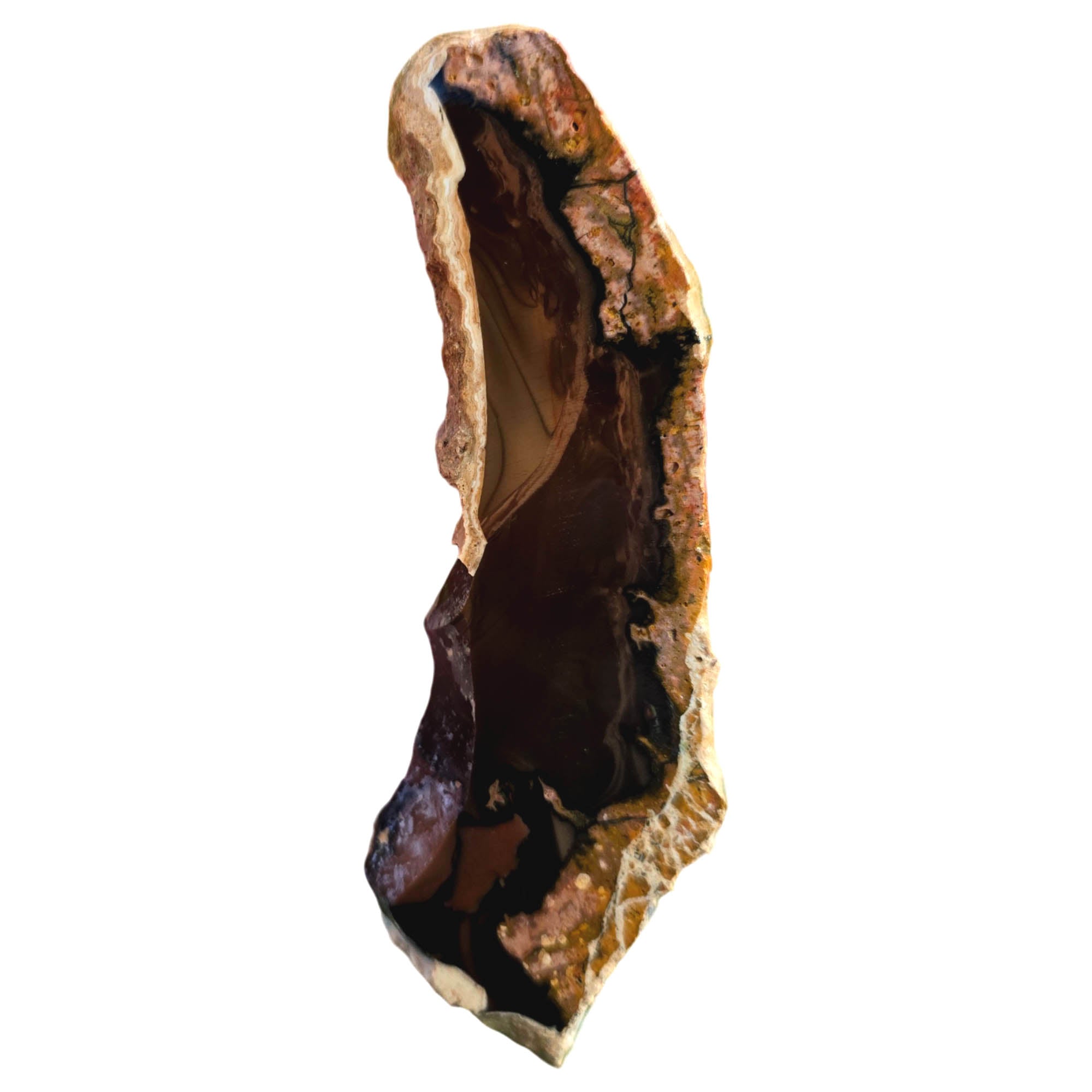 Whiskey Creek Jasper Slab – Orbicular Brecciated Deep Brown Pattern #3825-4