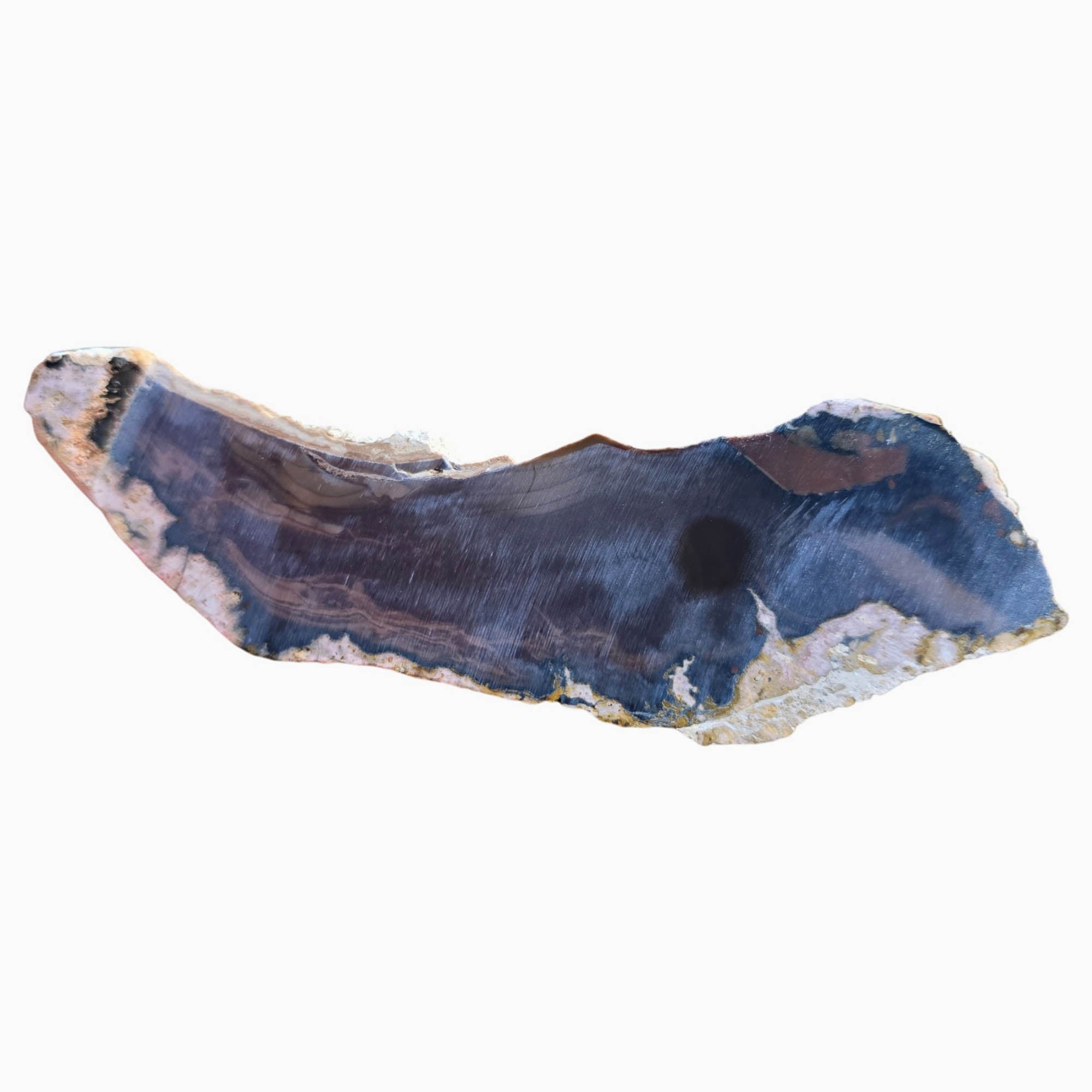 Whiskey Creek Jasper Slab Dry – Orbicular Brecciated Deep Brown Pattern #3825-5