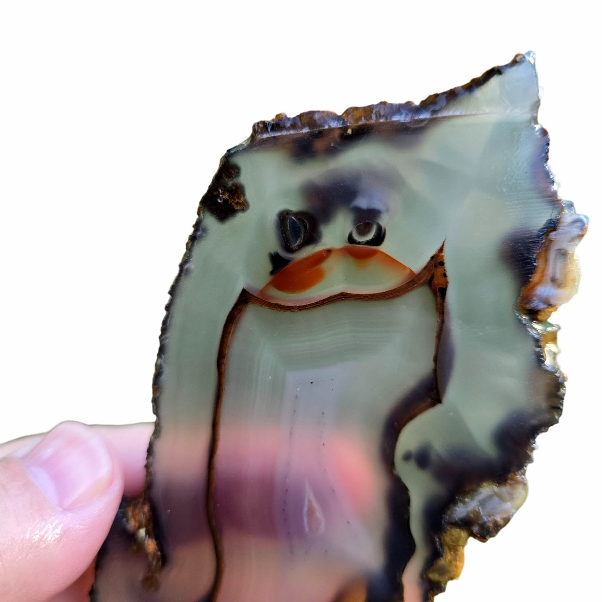 Brazilian Agate Slab - Translucent Blue with Piranha Orange - River Collected