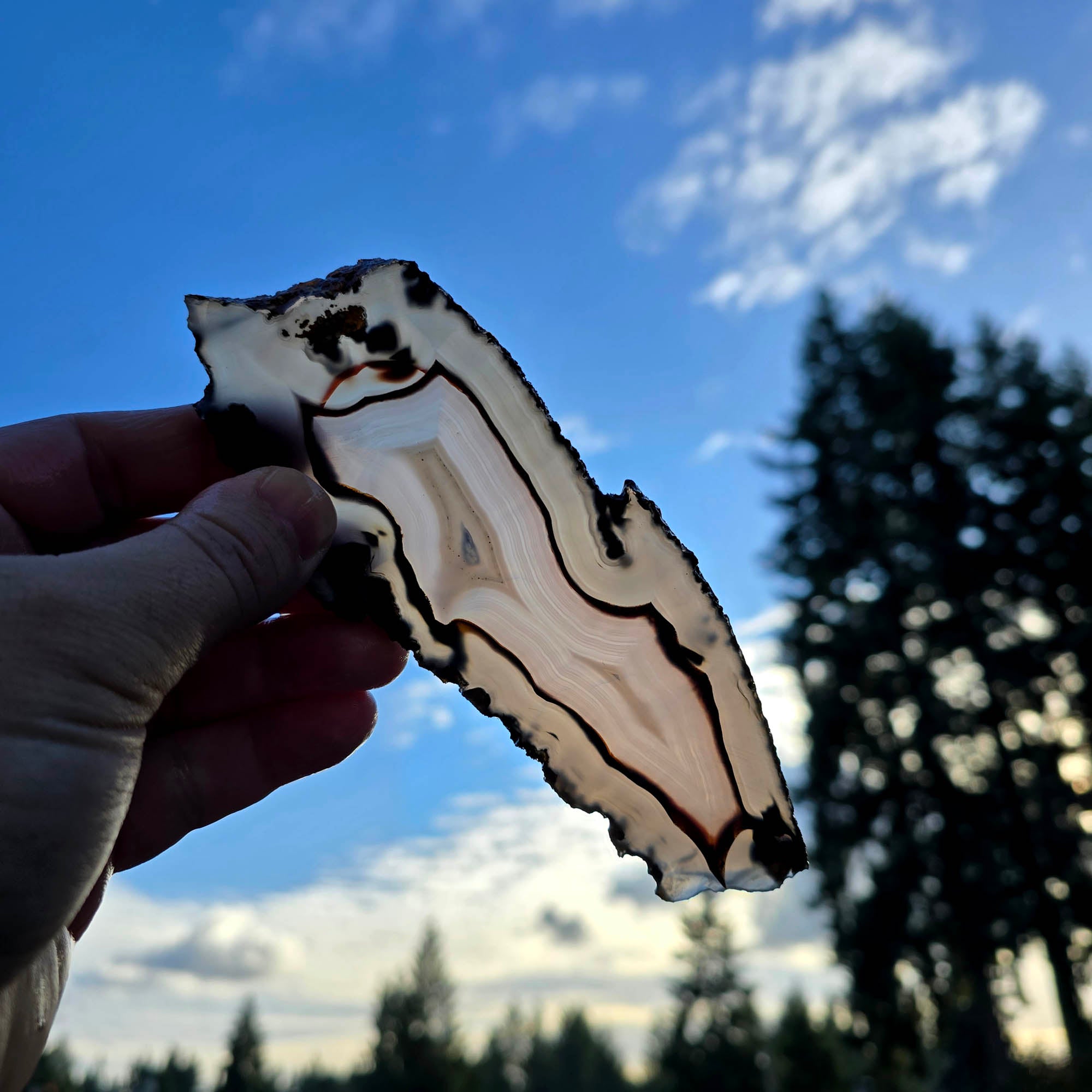 Brazilian Agate Slab - Translucent Blue with Piranha Orange - River Collected