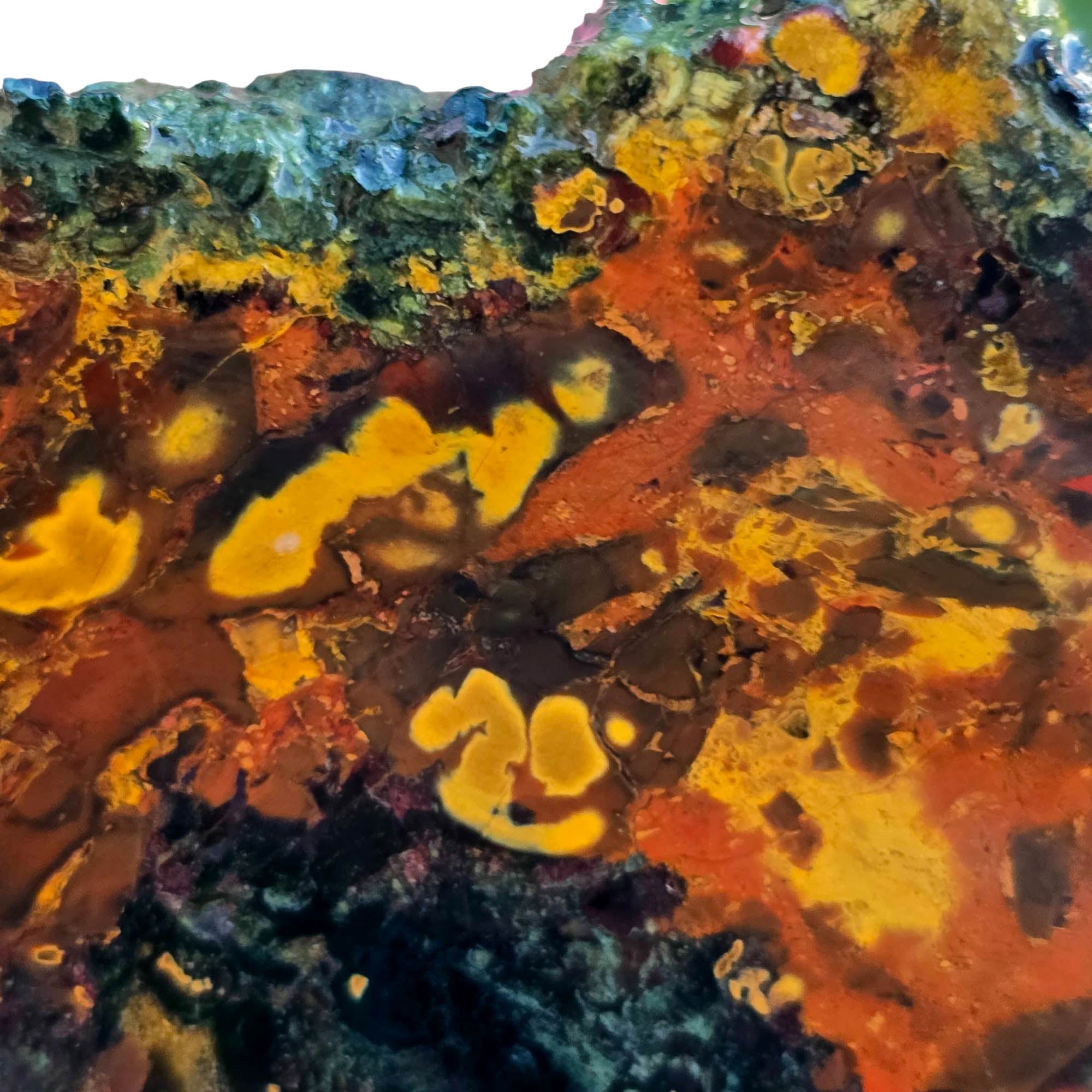 Kaleidoscope Jasper Slab - Floating Orb Pattern - Oregon Discovery