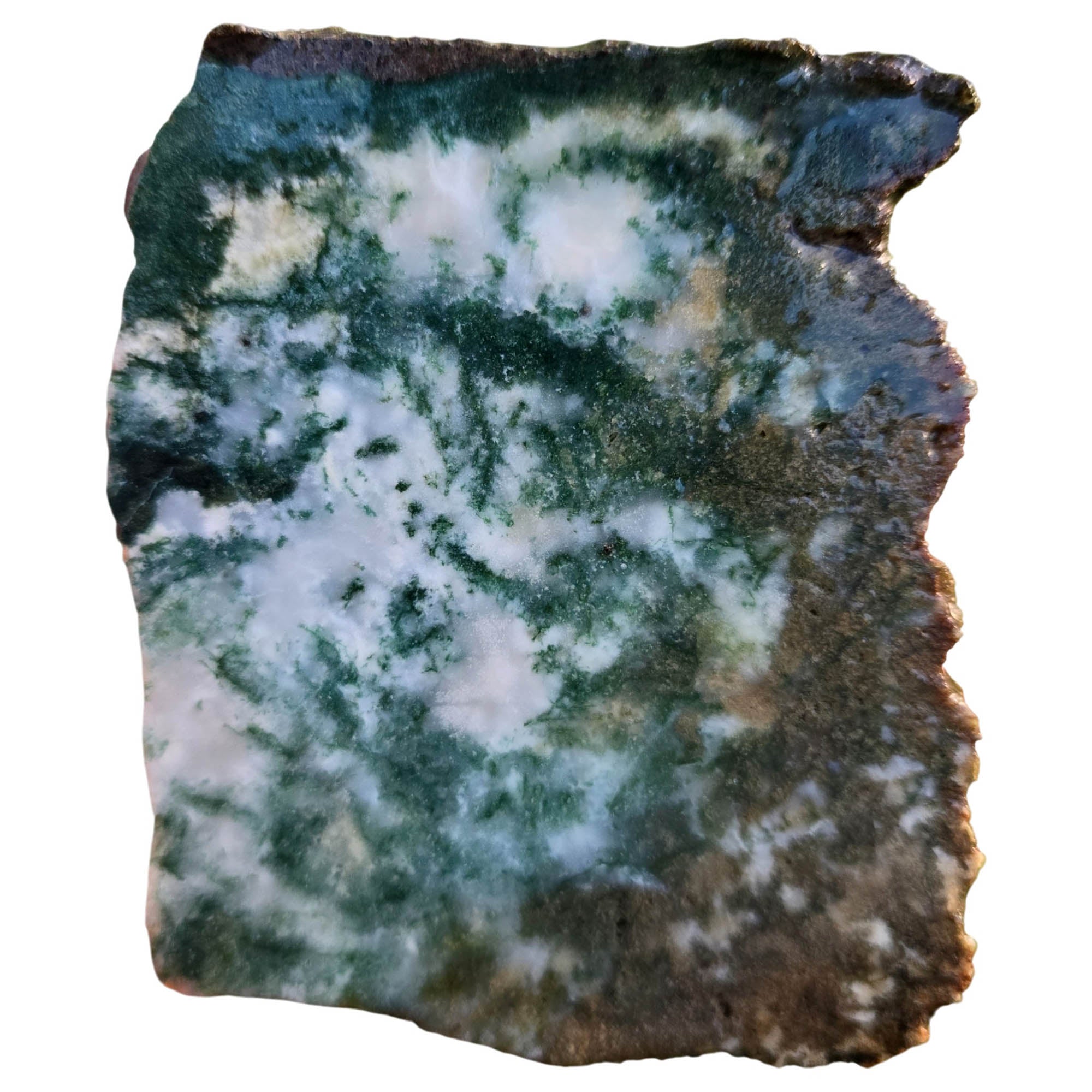 Ochoco Tree Agate Slab - Green Moss on White - Quant Family Legacy