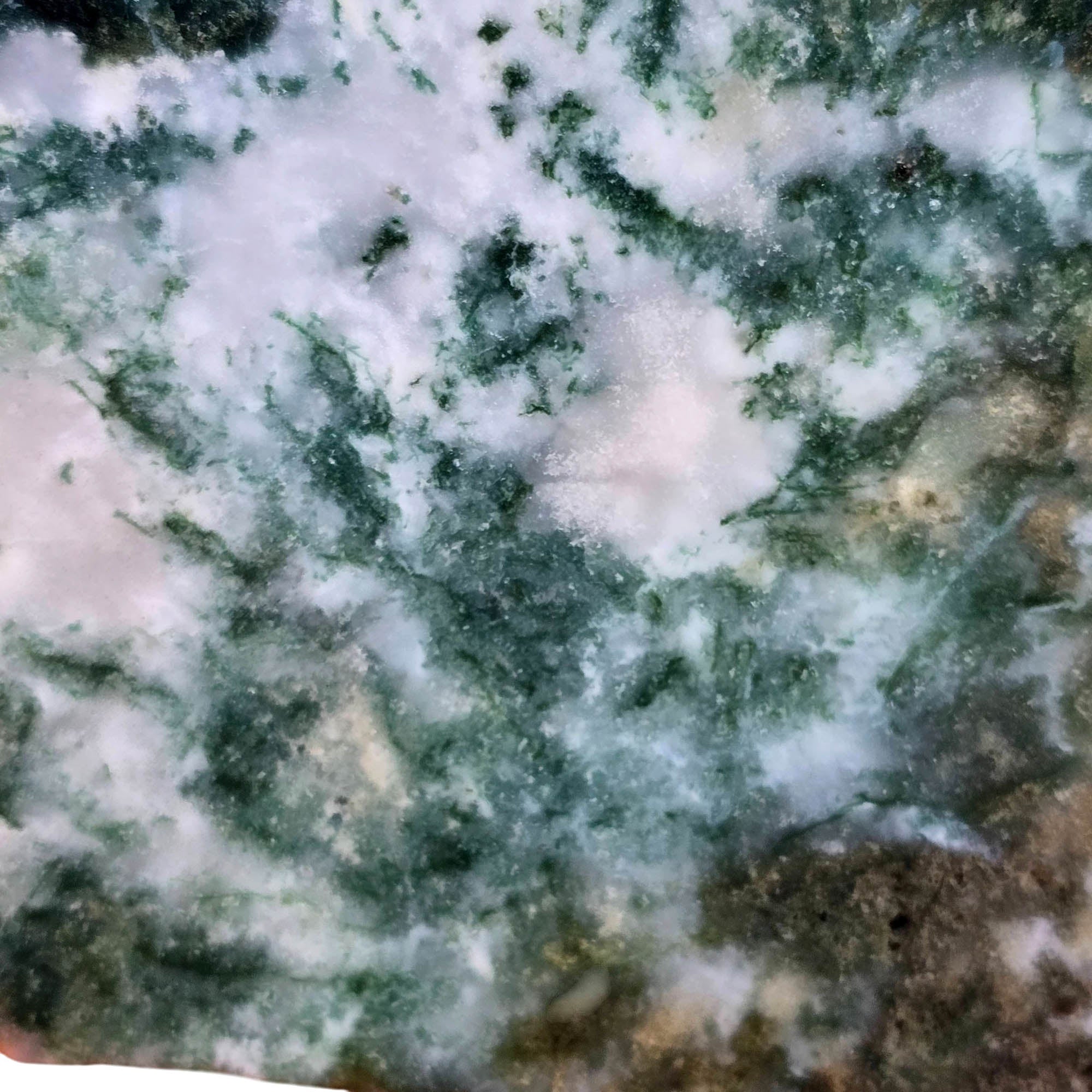 Ochoco Tree Agate Slab - Green Moss on White - Quant Family Legacy