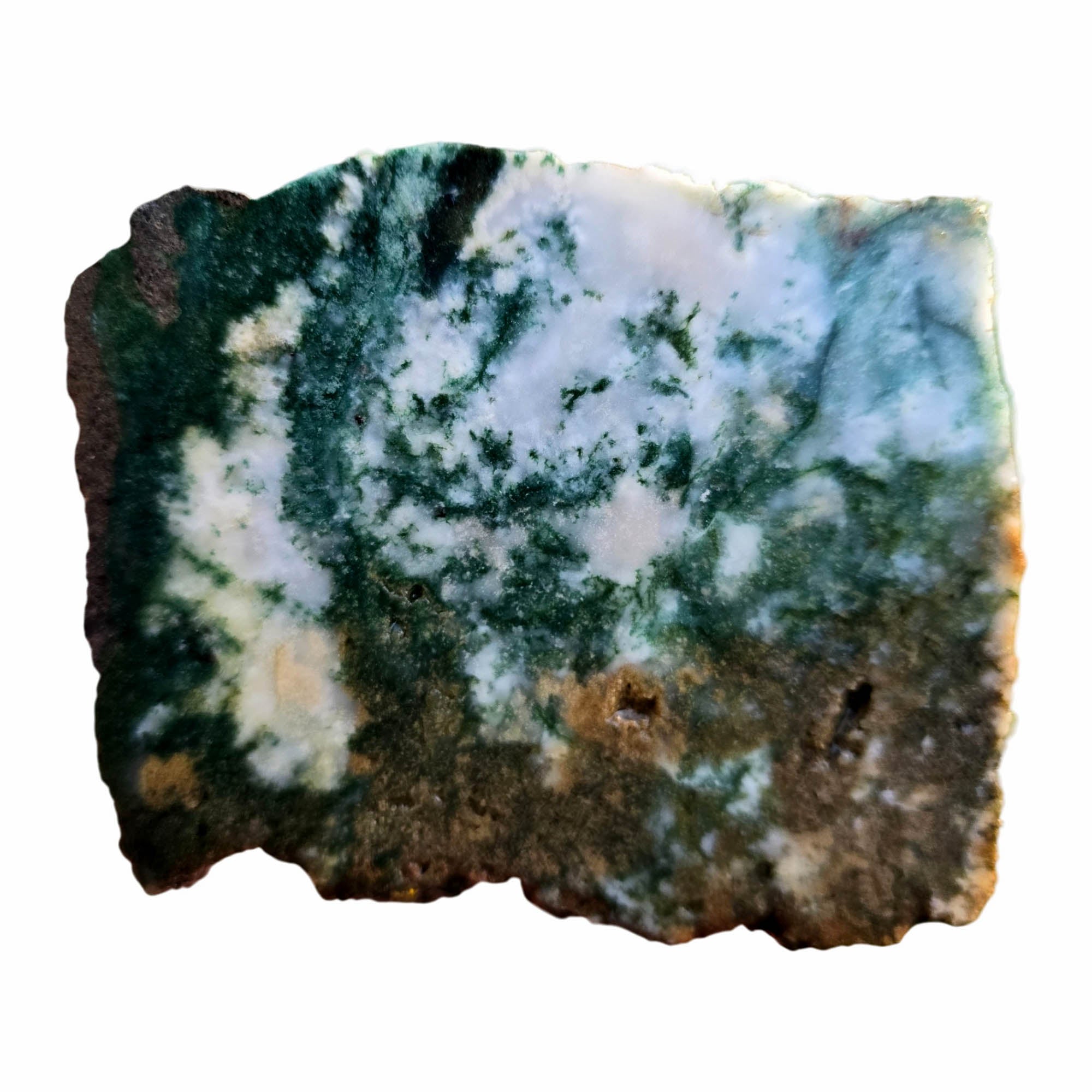 Ochoco Tree Agate Slab - Green Moss on White - Quant Family Legacy