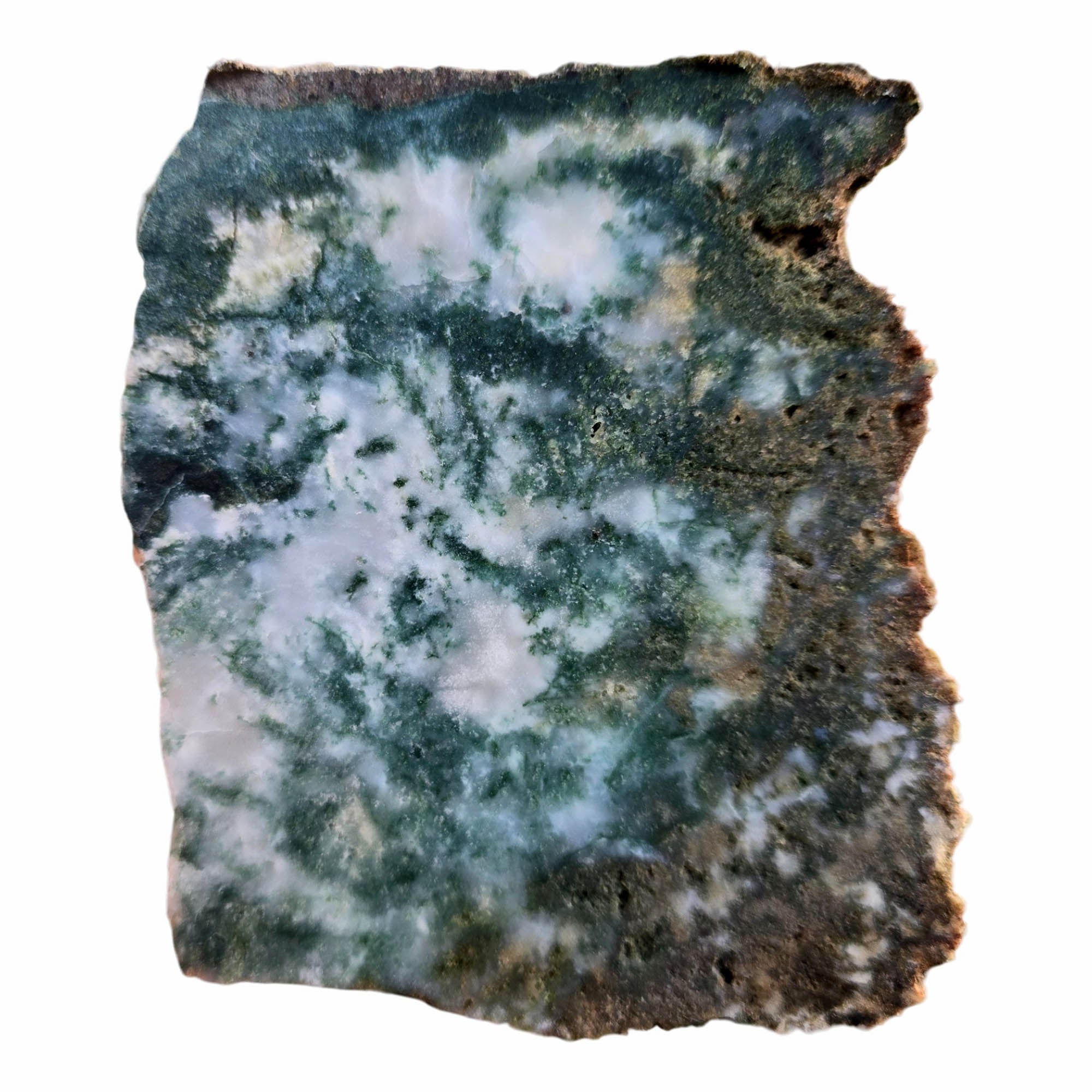 Ochoco Tree Agate Slab - Green Moss on White - Quant Family Legacy