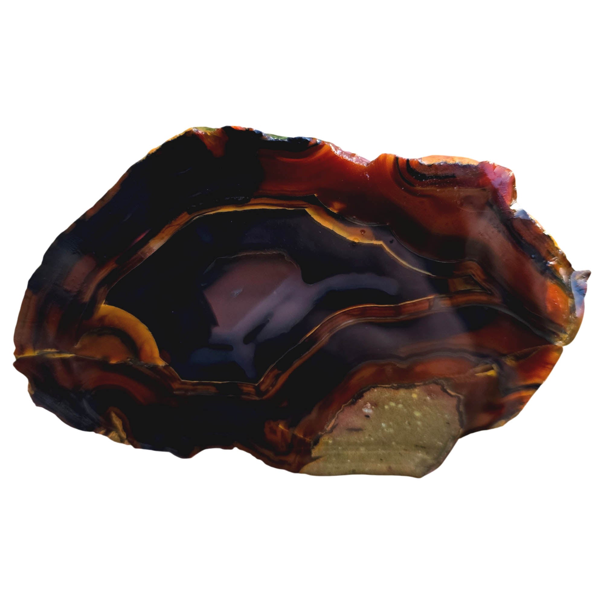 Brazilian Piranha Agate Slab – Black Orange Red Banding Display #3832-Photo3