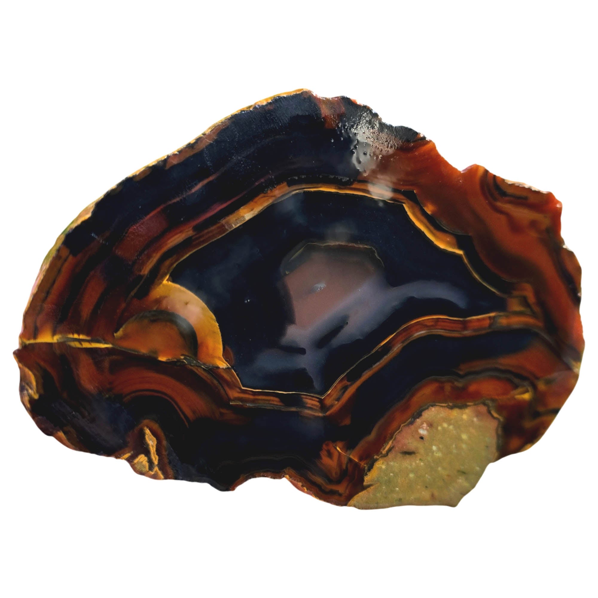 Brazilian Piranha Agate Slab – Black Orange Red Banding Display #3832-Photo4