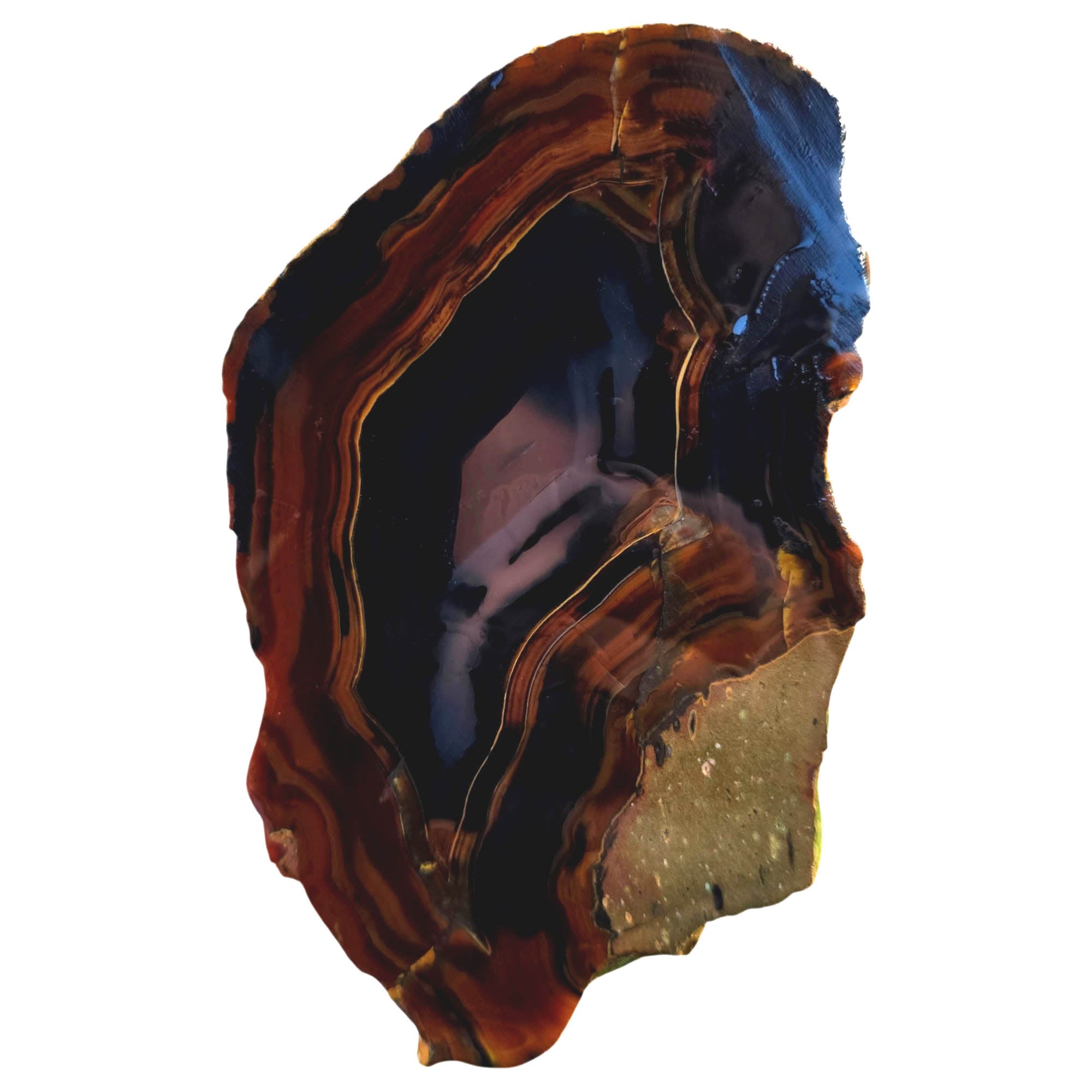 Brazilian Piranha Agate Slab – Black Orange Red Banding Display #3832-Photo5