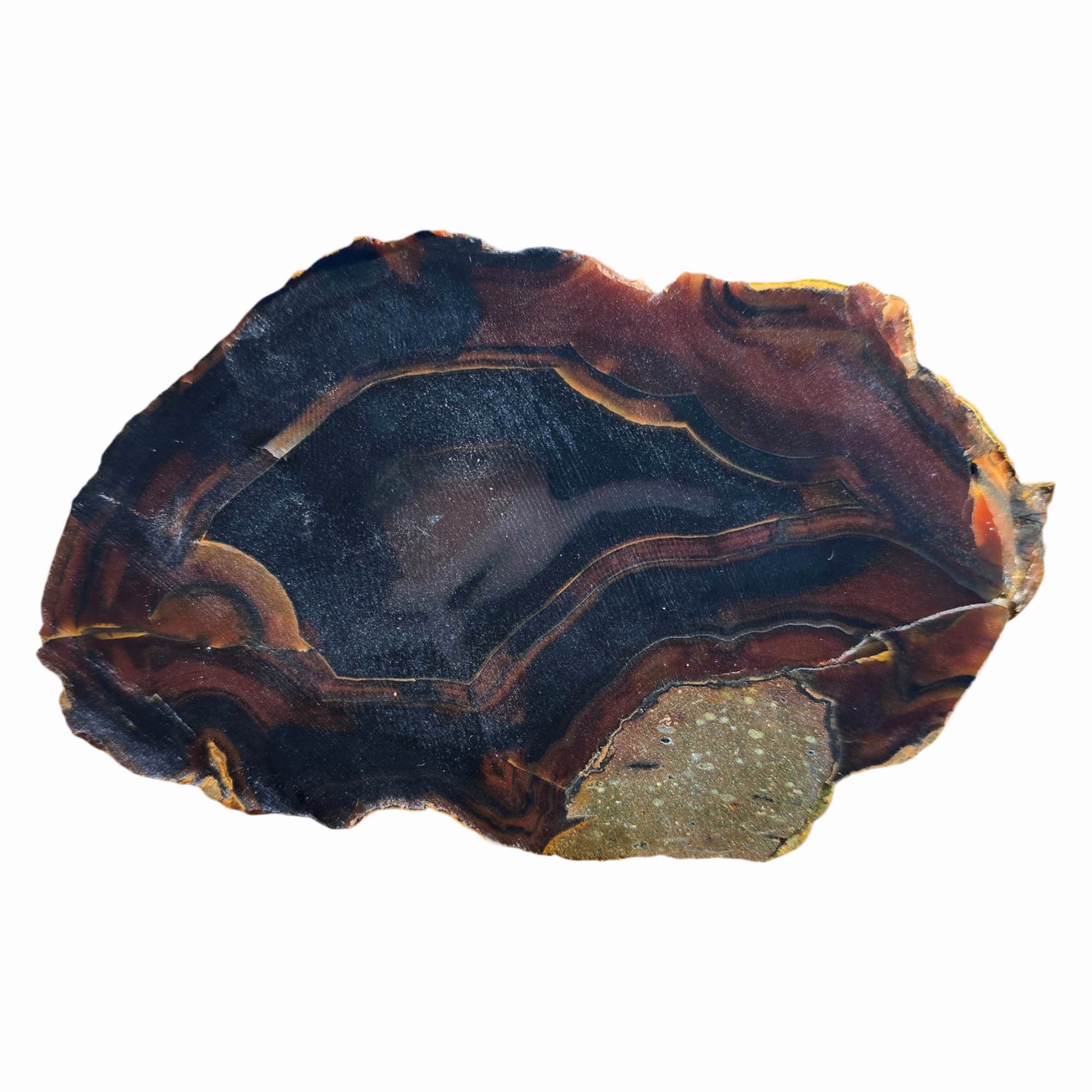 Brazilian Piranha Agate Slab Dry – Black Orange Red Banding Display #3832-Photo6