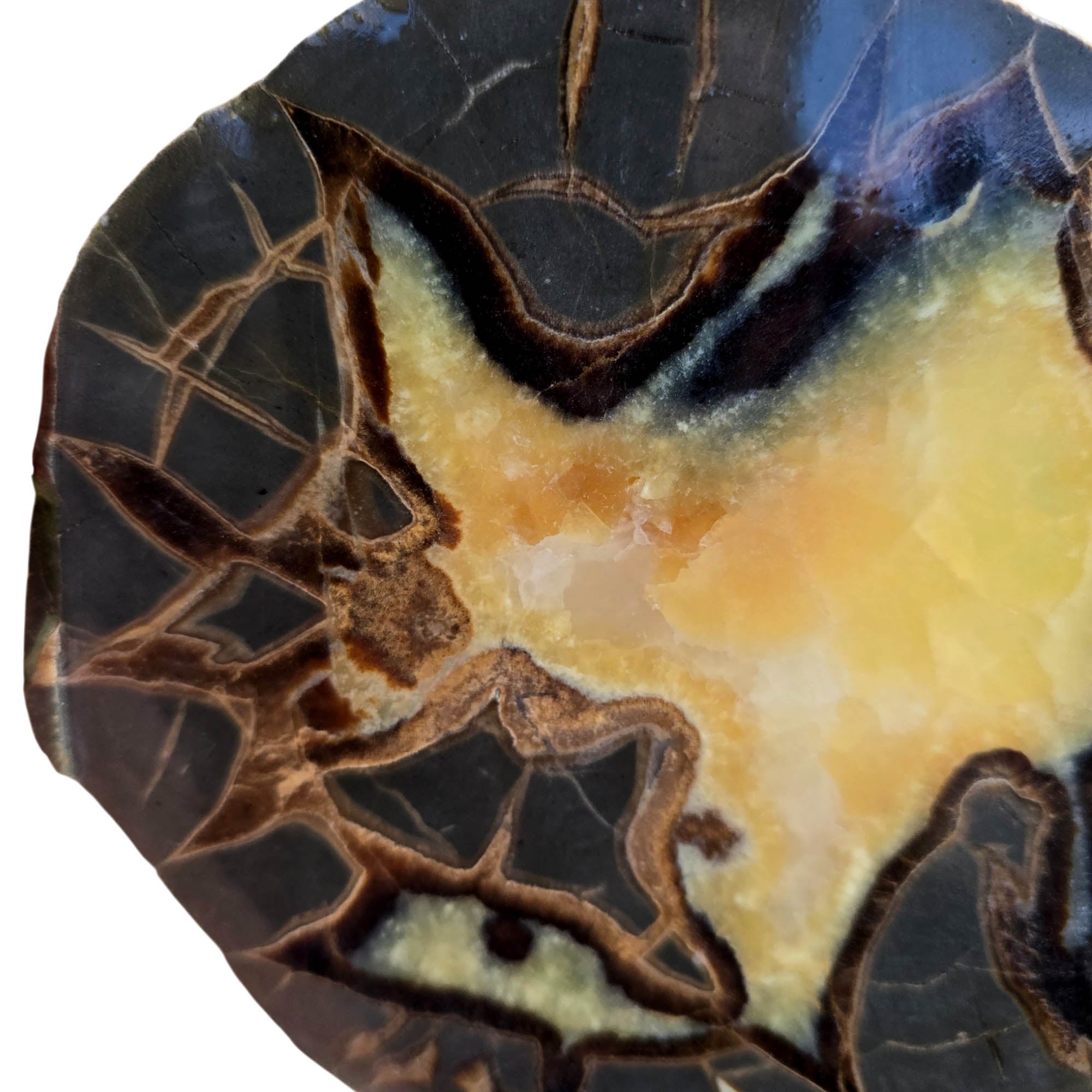 Utah Septarian Nodule Slab – Excellent Lightning Strike Calcite Center #3834-Photo2