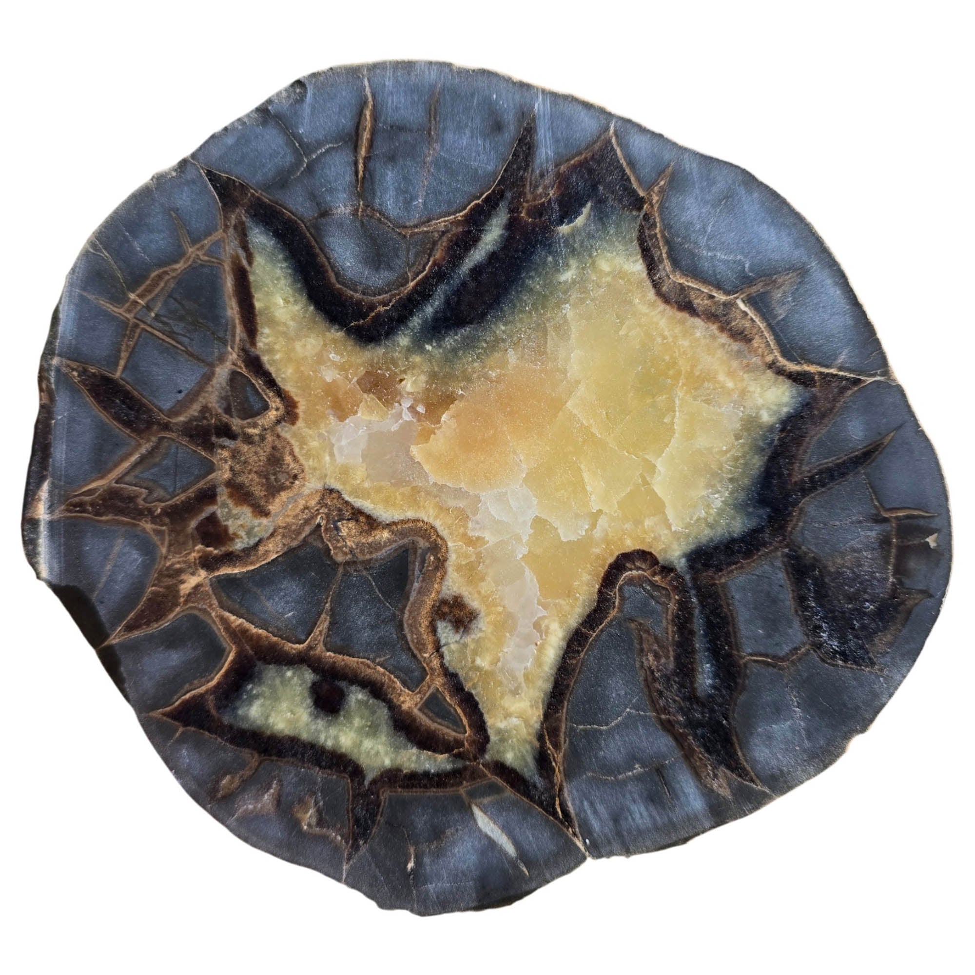 Utah Septarian Nodule Slab Dry – Excellent Lightning Strike Calcite Center #3834-Photo4