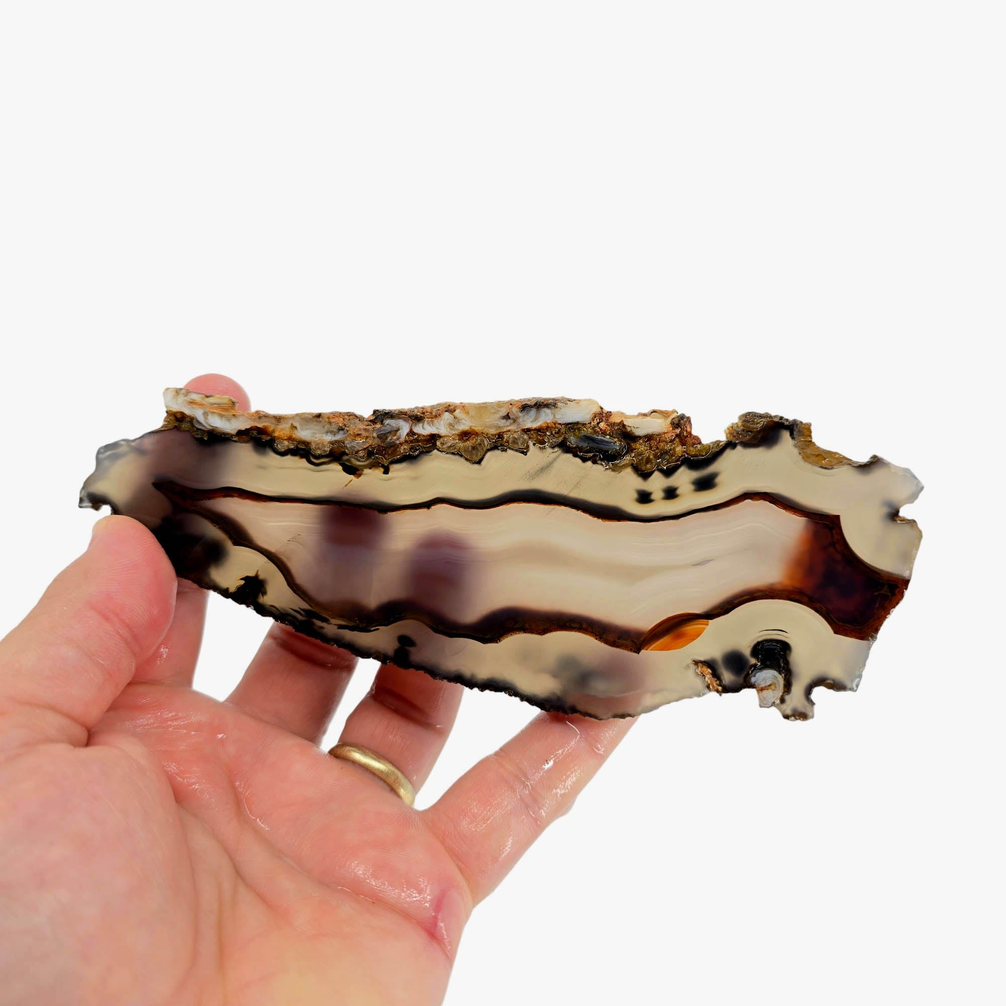 Brazilian Agate Slab – Translucent Orange Banding Black Flecks #3837-Photo2