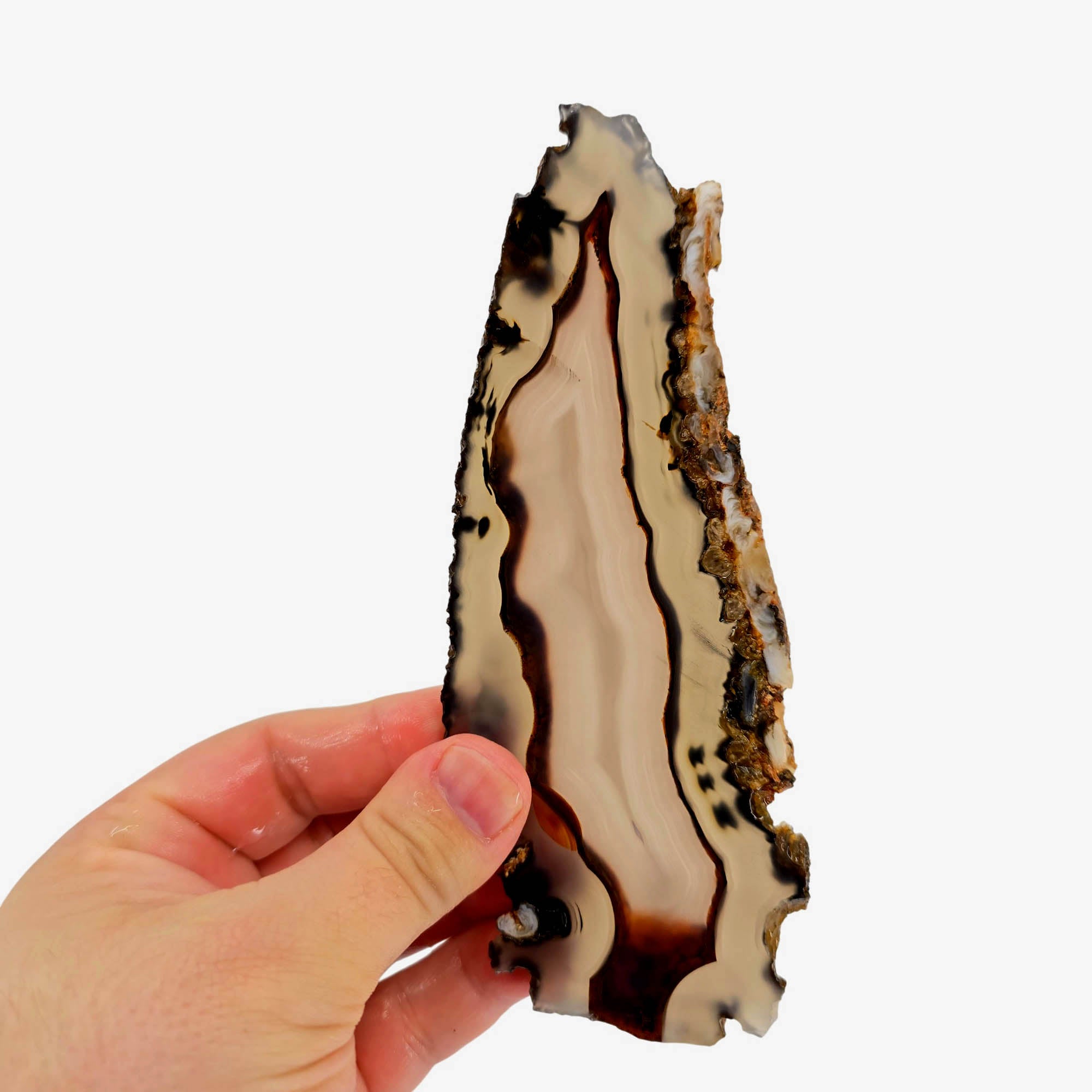 Brazilian Agate Slab – Translucent Orange Banding Black Flecks #3837-Photo4