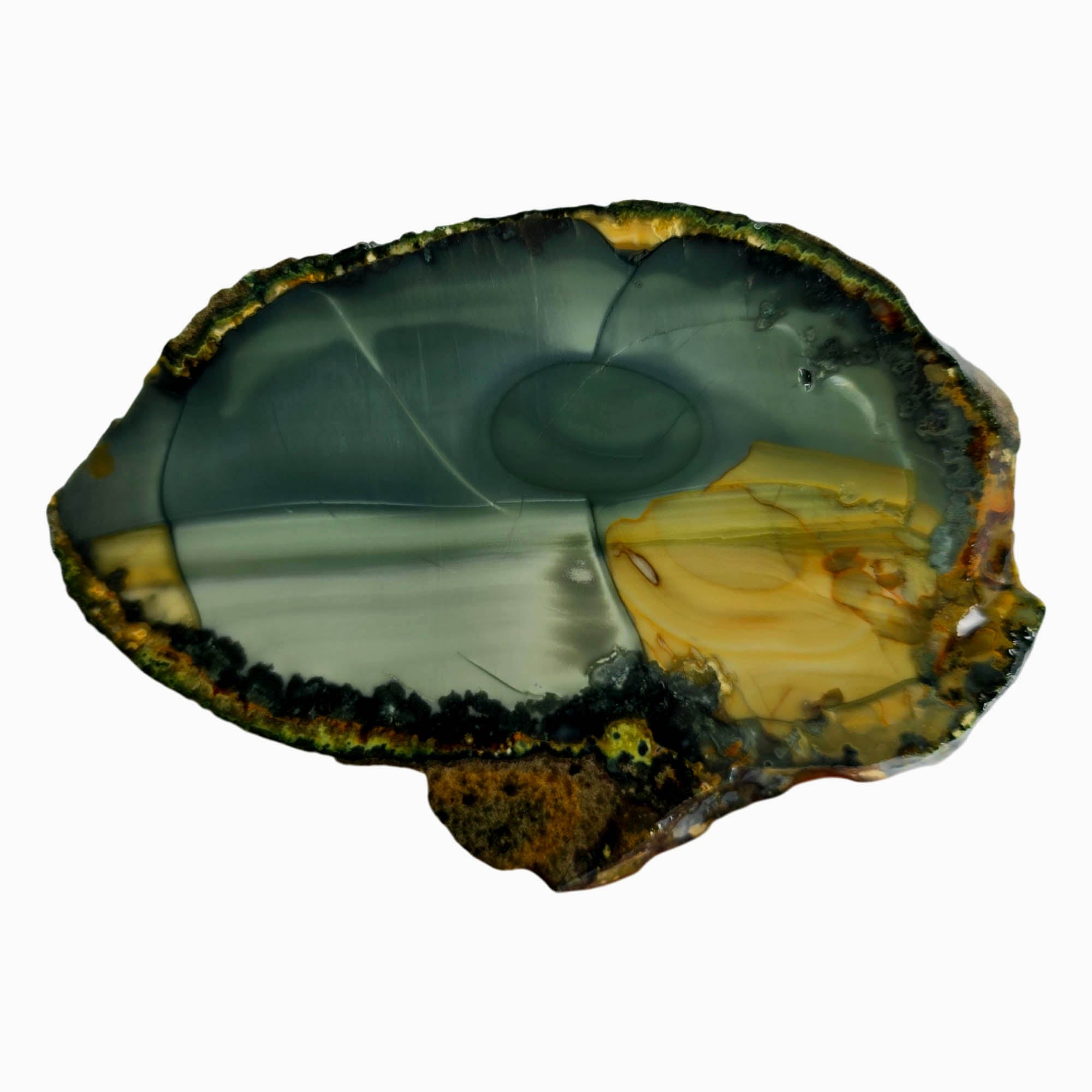 Blue Mountain Jasper Slab – Cream Orbicular Patterns Oregon Classic #3838-1