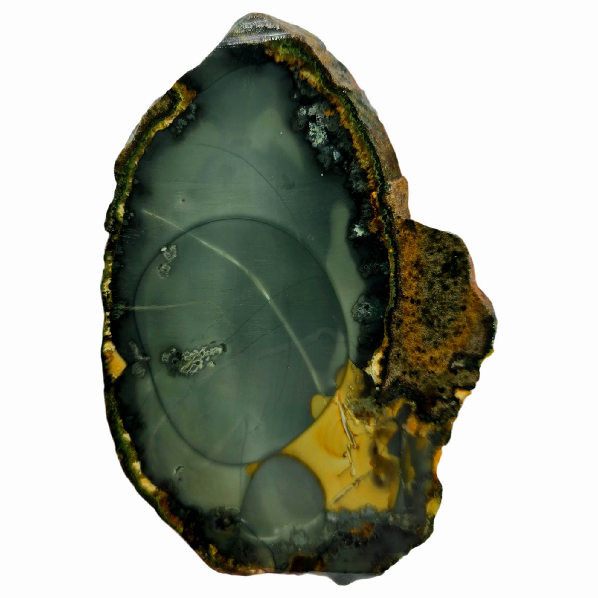 Blue Mountain Jasper Slab – Cream Orbicular Patterns Oregon Classic #3838-2