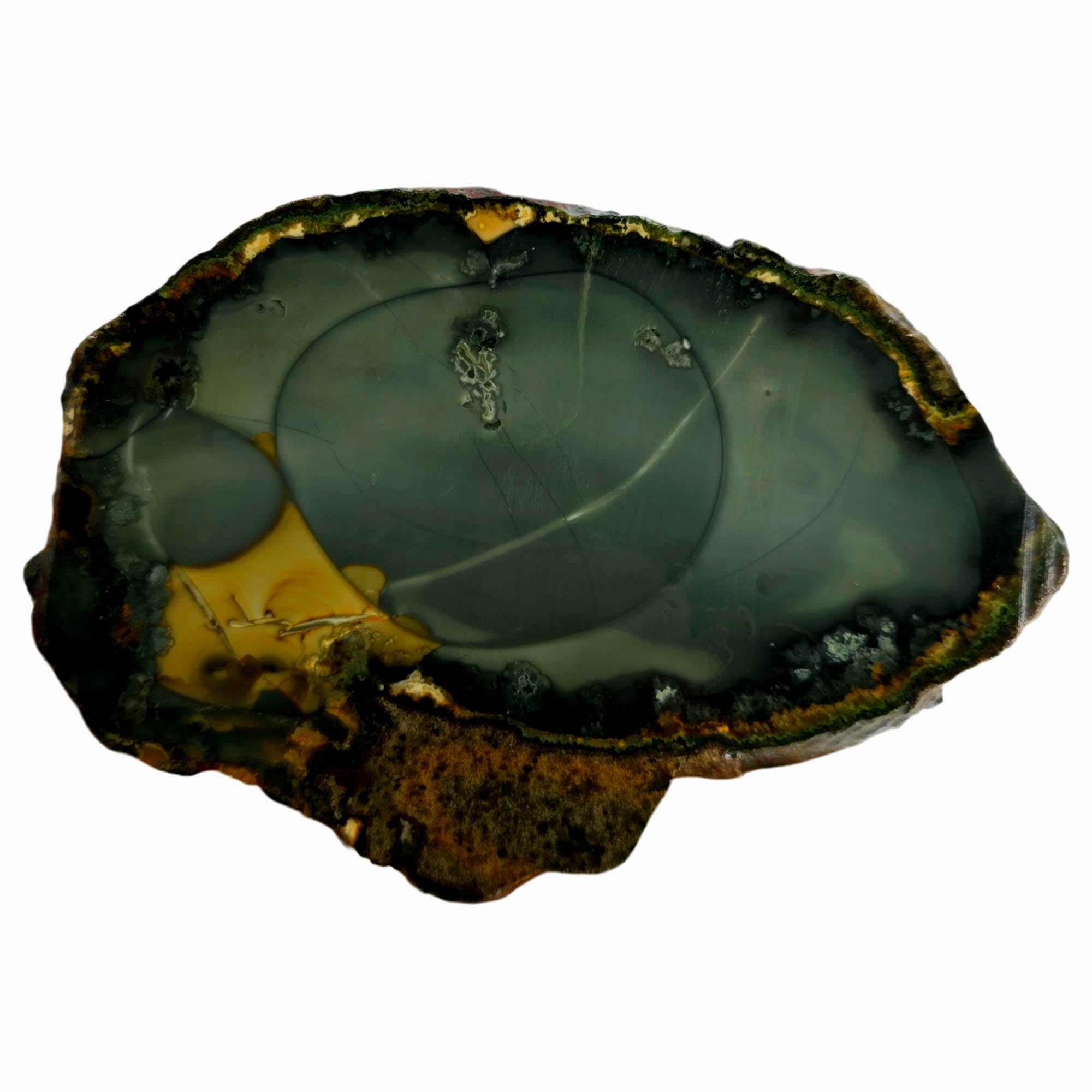 Blue Mountain Jasper Slab – Cream Orbicular Patterns Oregon Classic #3838-3