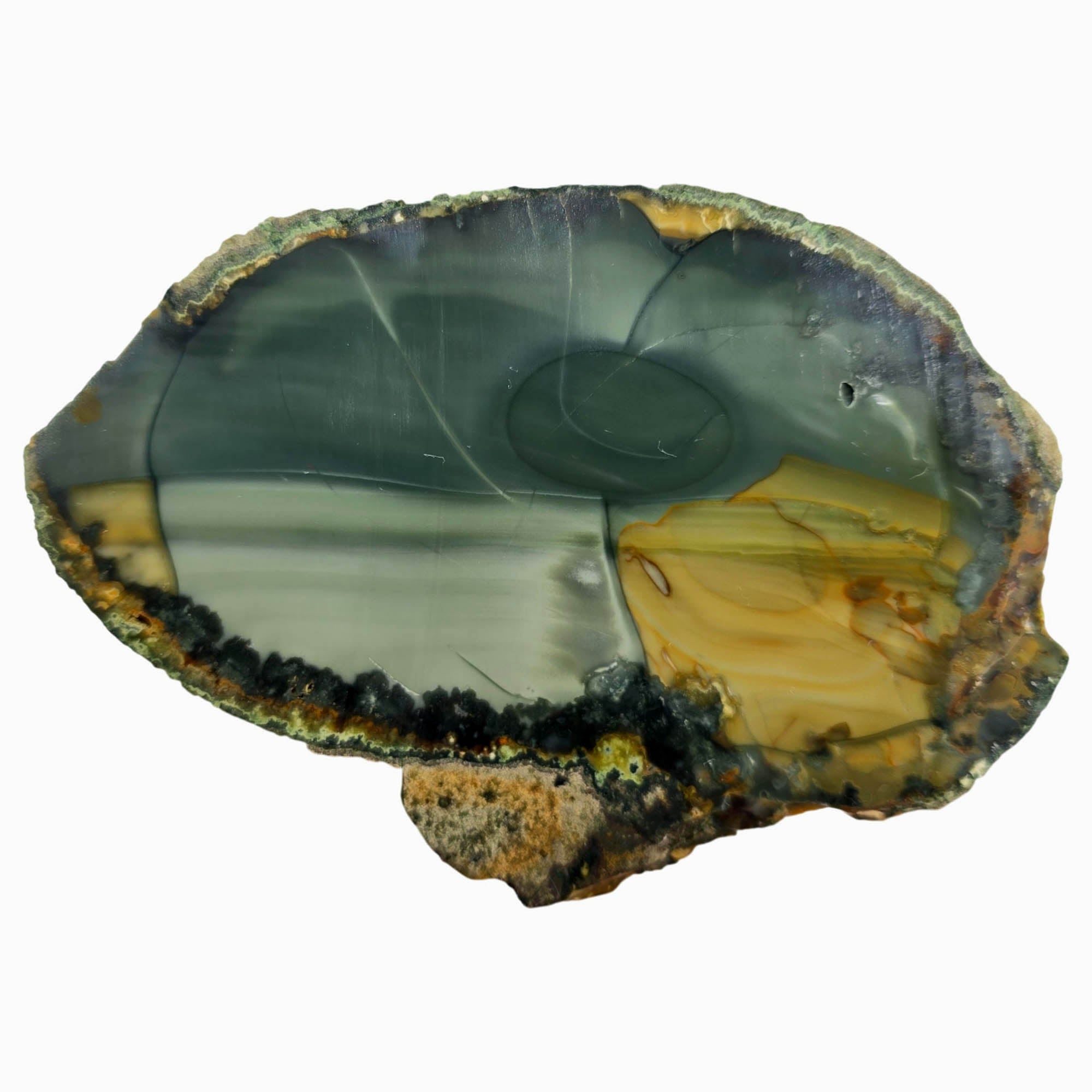 Blue Mountain Jasper Slab Dry – Cream Orbicular Patterns Oregon Classic #3838-4