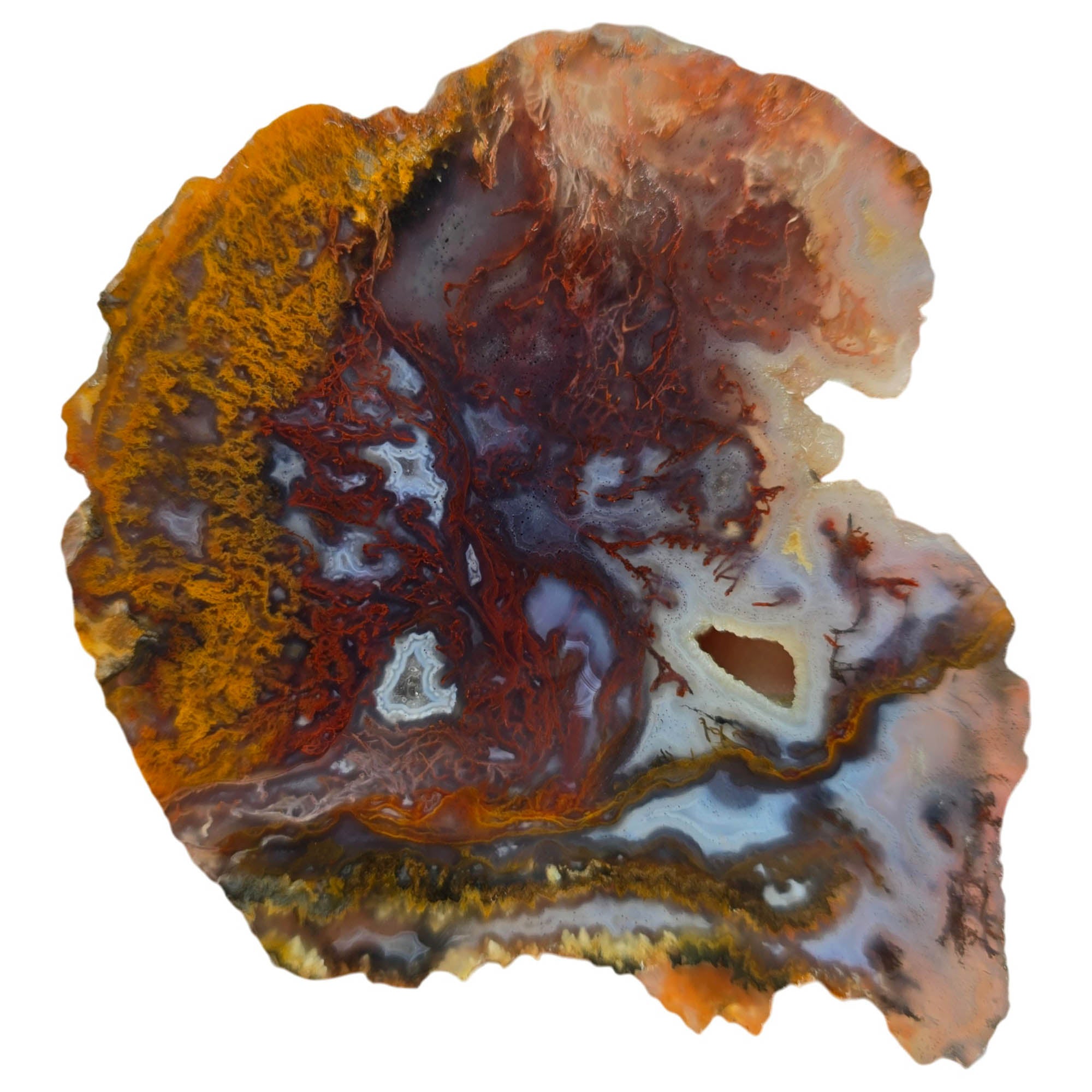 San Carlos Agate Slab – Red Orange Purple Moss Drusy Sparkle #3839-Photo1