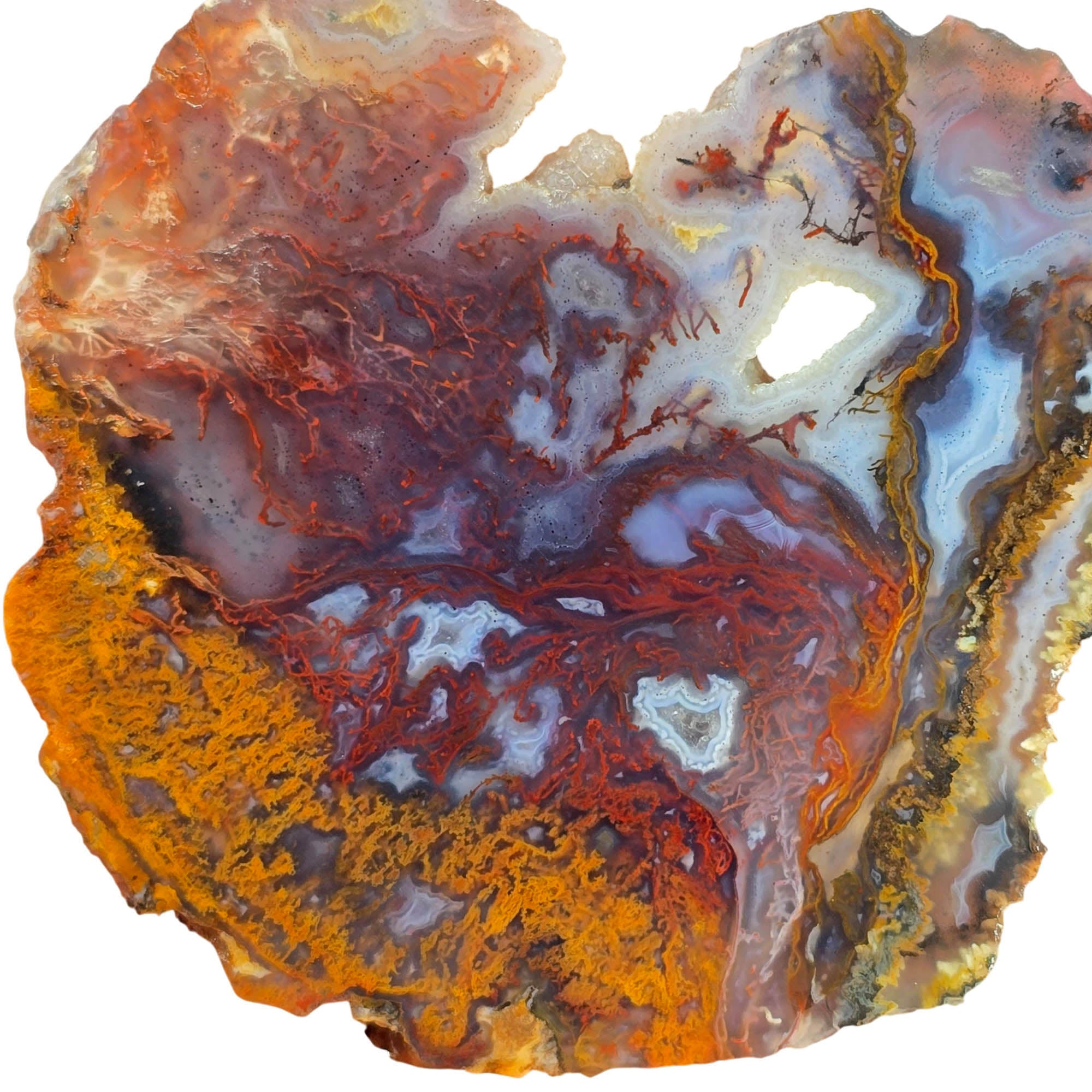 San Carlos Agate Slab – Red Orange Purple Moss Drusy Sparkle #3839-Photo2