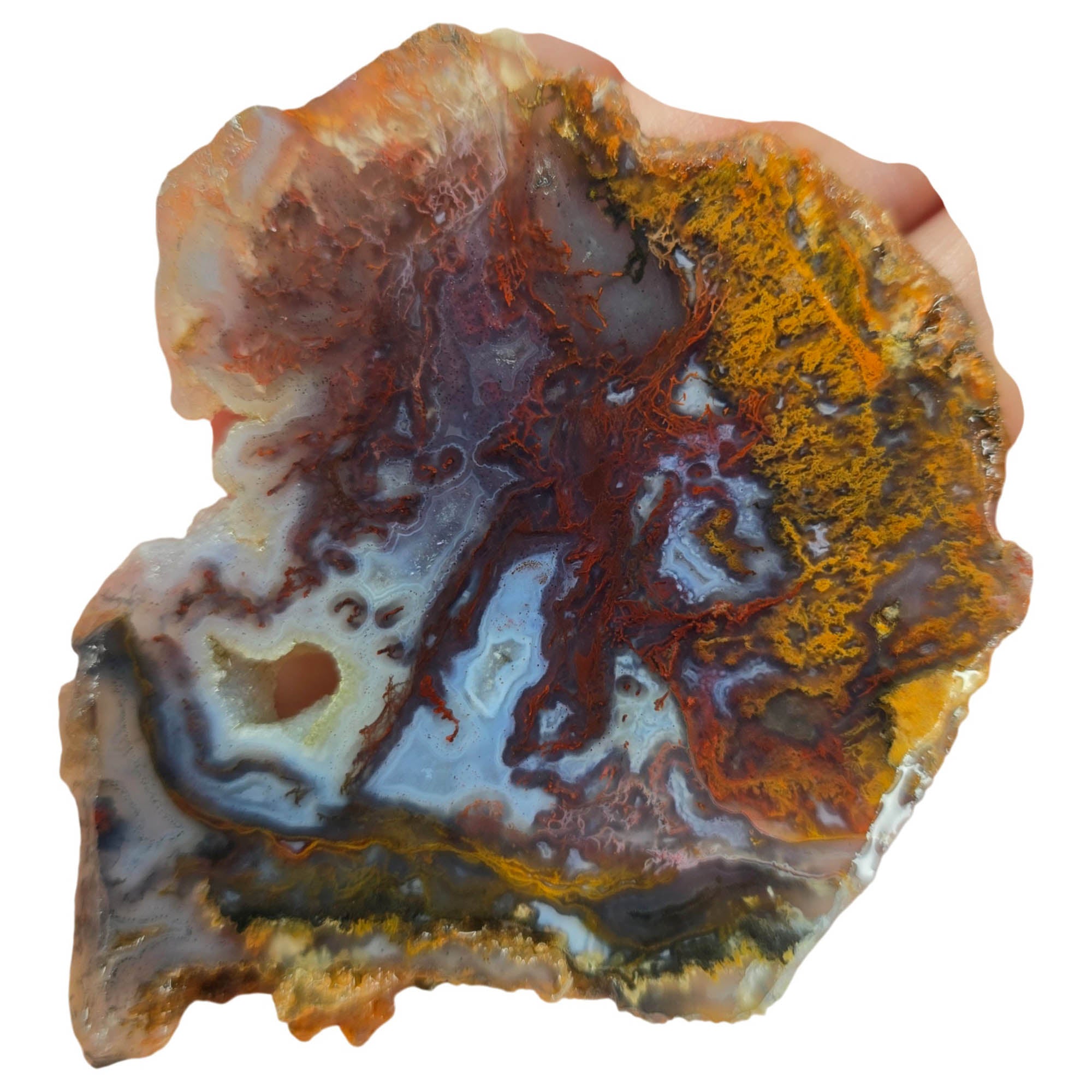 San Carlos Agate Slab – Red Orange Purple Moss Drusy Sparkle #3839-Photo3