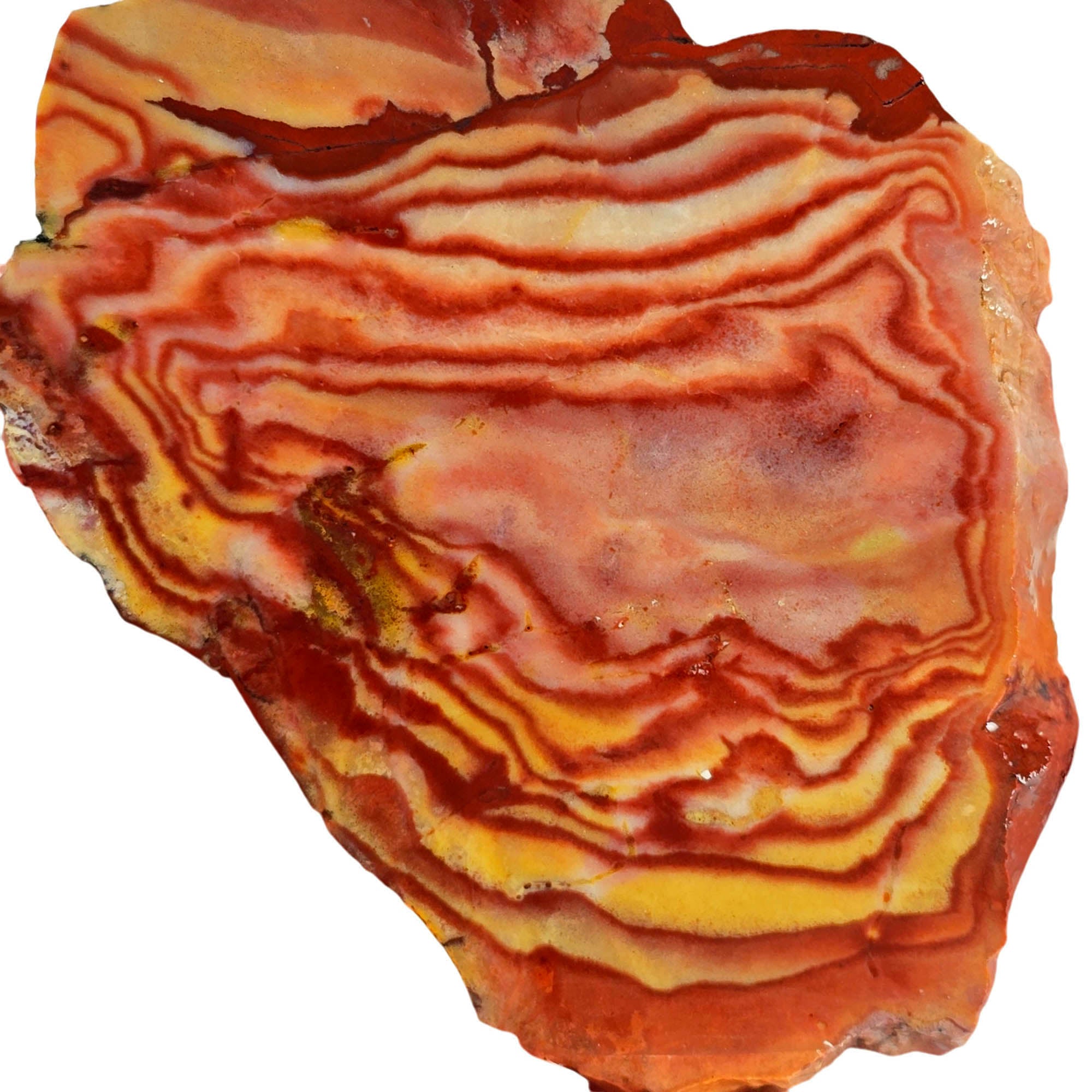 Wonderstone Slab – Bullseye Red Currents Liesegang Banding Nevada #3840-Photo2