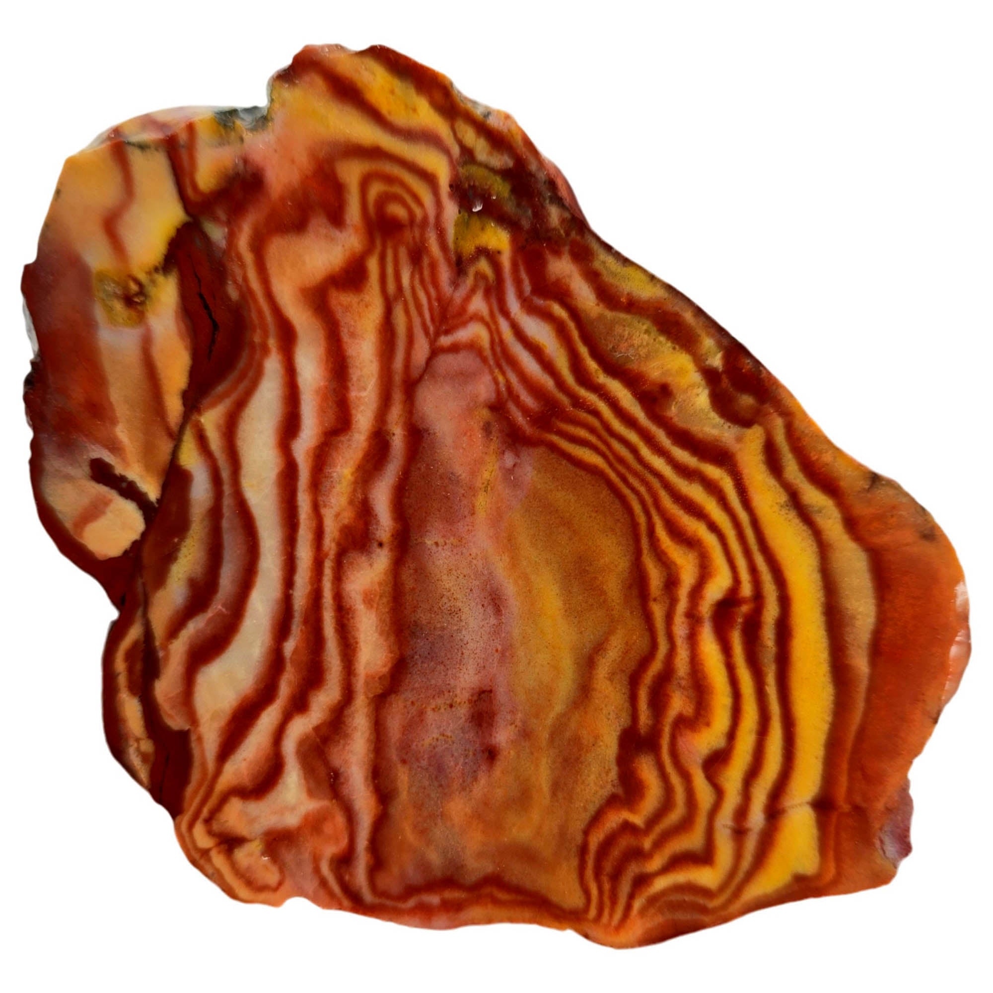 Wonderstone Slab – Bullseye Red Currents Liesegang Banding Nevada #3840-Photo3