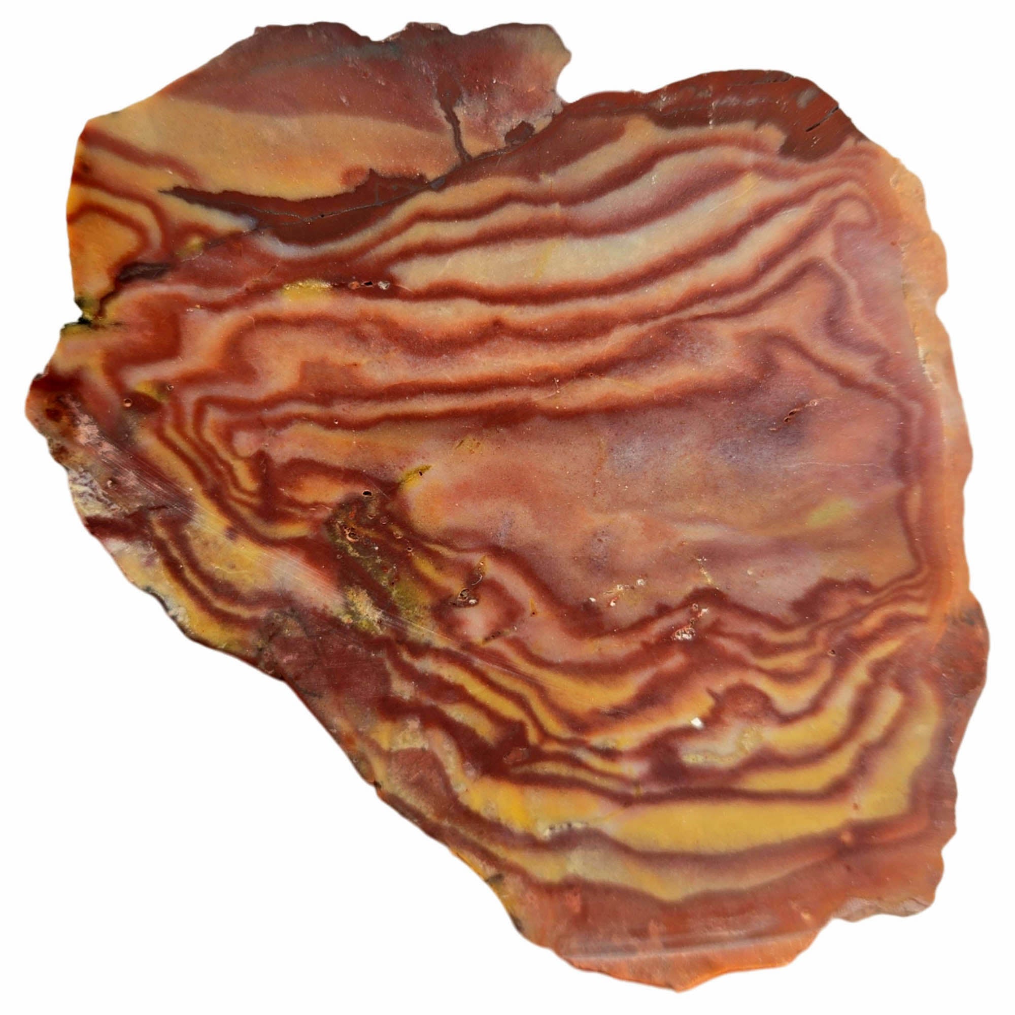 Wonderstone Slab Dry – Bullseye Red Currents Liesegang Banding Nevada #3840-Photo4