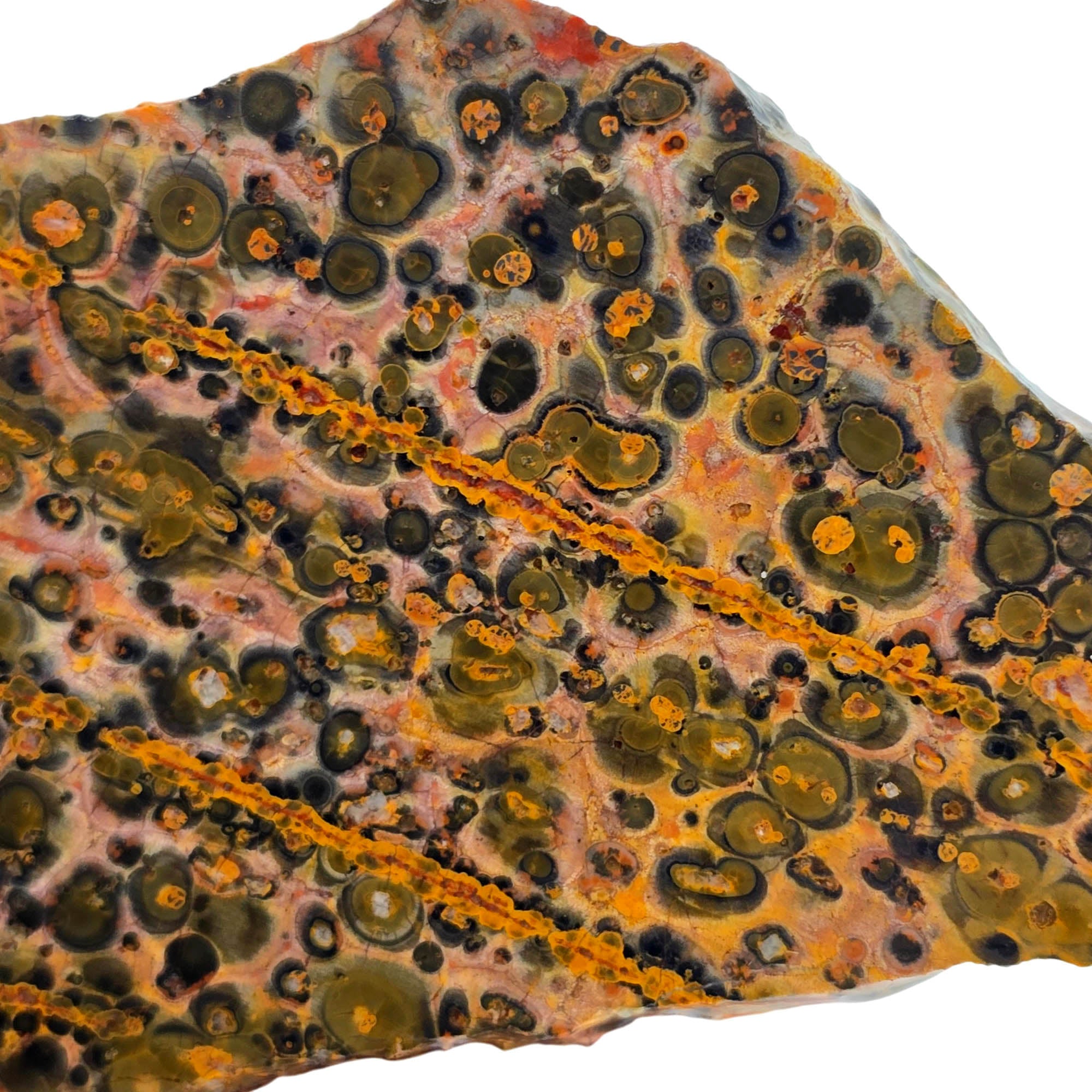 Leopard Skin Rhyolite Slab – Leopard Print Orange Lines Mexican #3841-Photo2