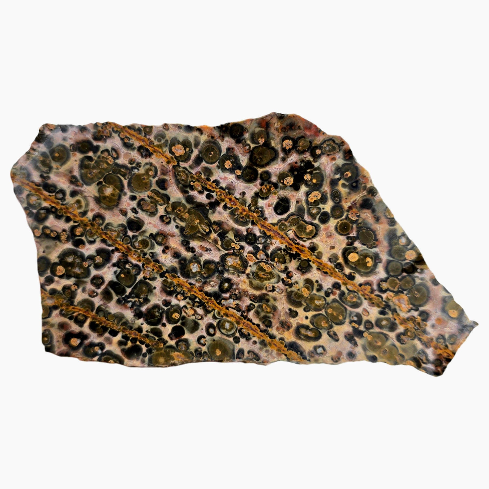 Leopard Skin Rhyolite Slab Dry – Spotted Pattern Stone Natural Flaws #3841-Photo4