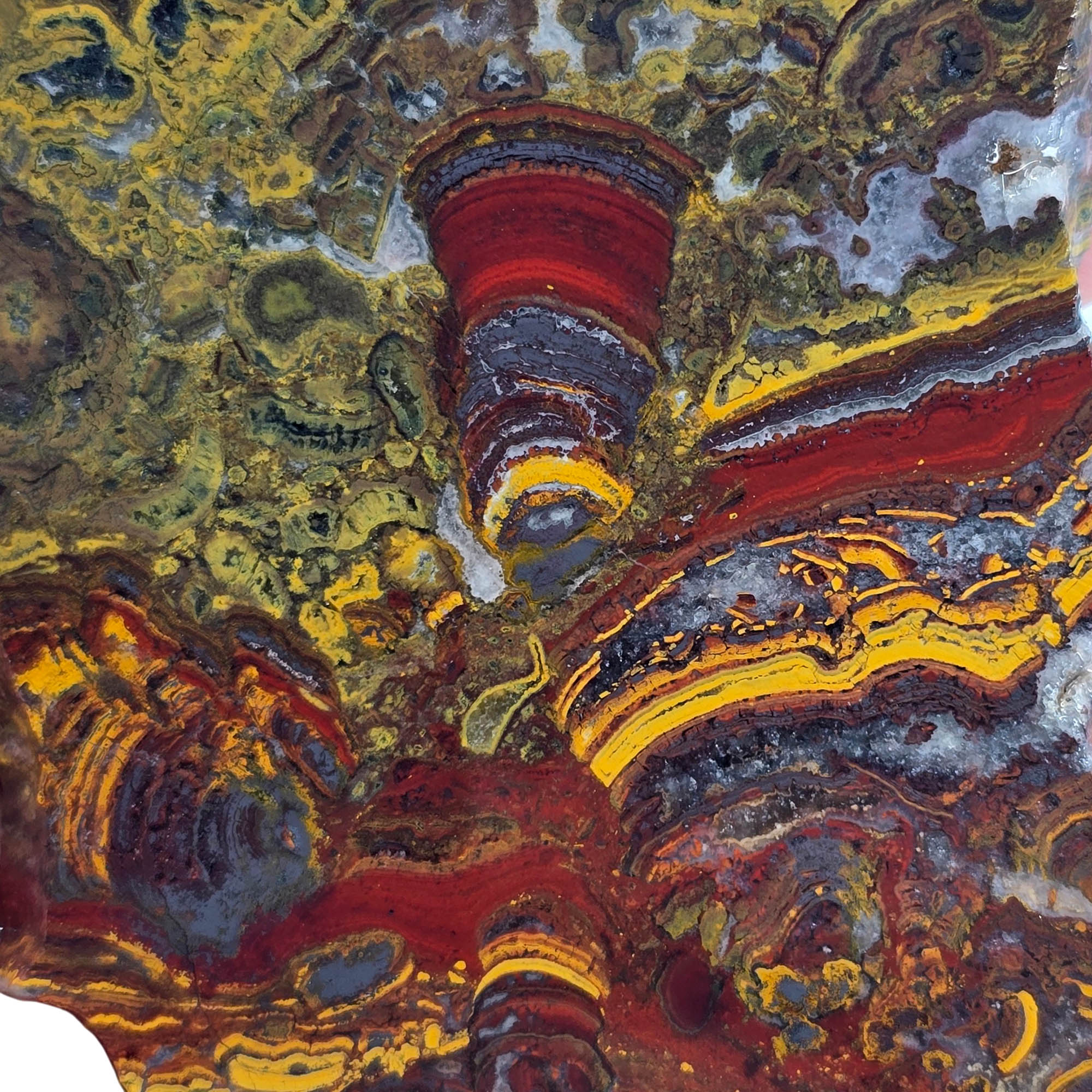 Apple Valley Jasper Slab - Hematite Flowering Bright Red Stromatolites #3842-Photo2