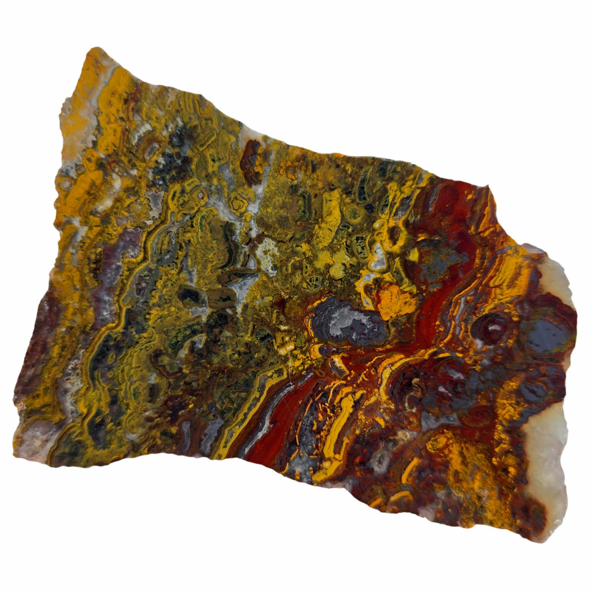 Apple Valley Jasper Slab - Hematite Flowering Bright Red Stromatolites #3842-Photo3