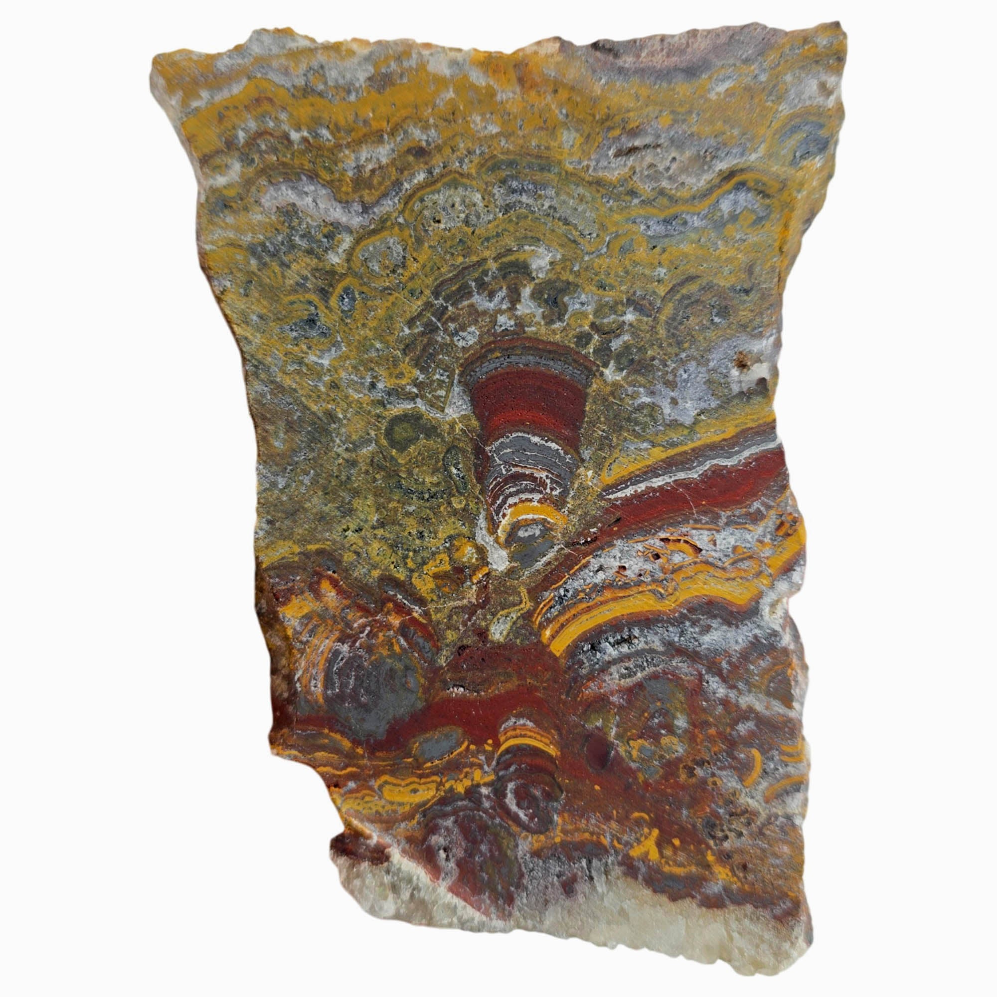 Apple Valley Jasper Slab Dry - Hematite Flowering Bright Red Stromatolites #3842-Photo5